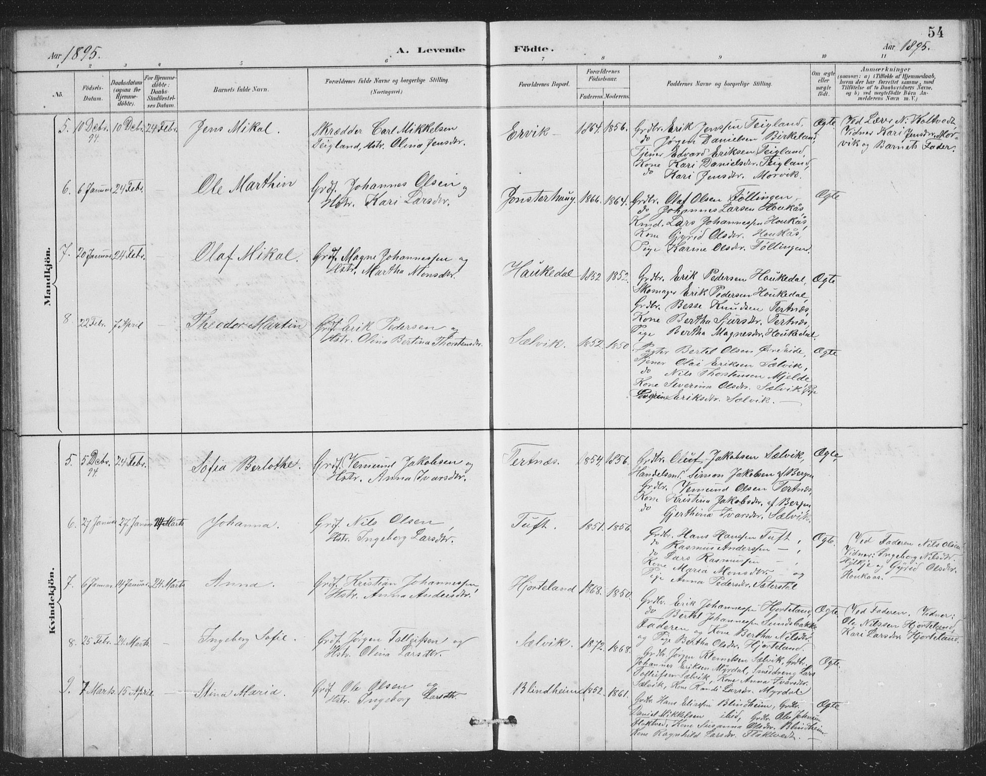Åsane sokneprestembete, SAB/A-79401/H/Hab: Parish register (copy) no. A 2, 1885-1898, p. 54