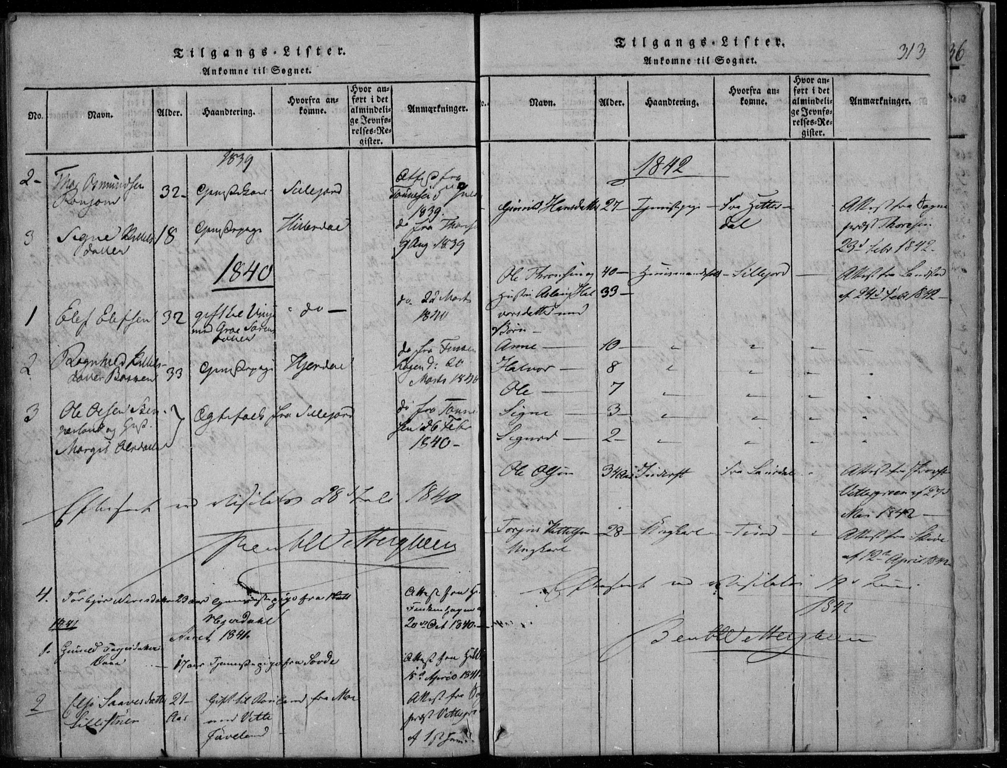 Rauland kirkebøker, SAKO/A-292/F/Fa/L0001: Parish register (official) no. 1, 1814-1859, p. 313