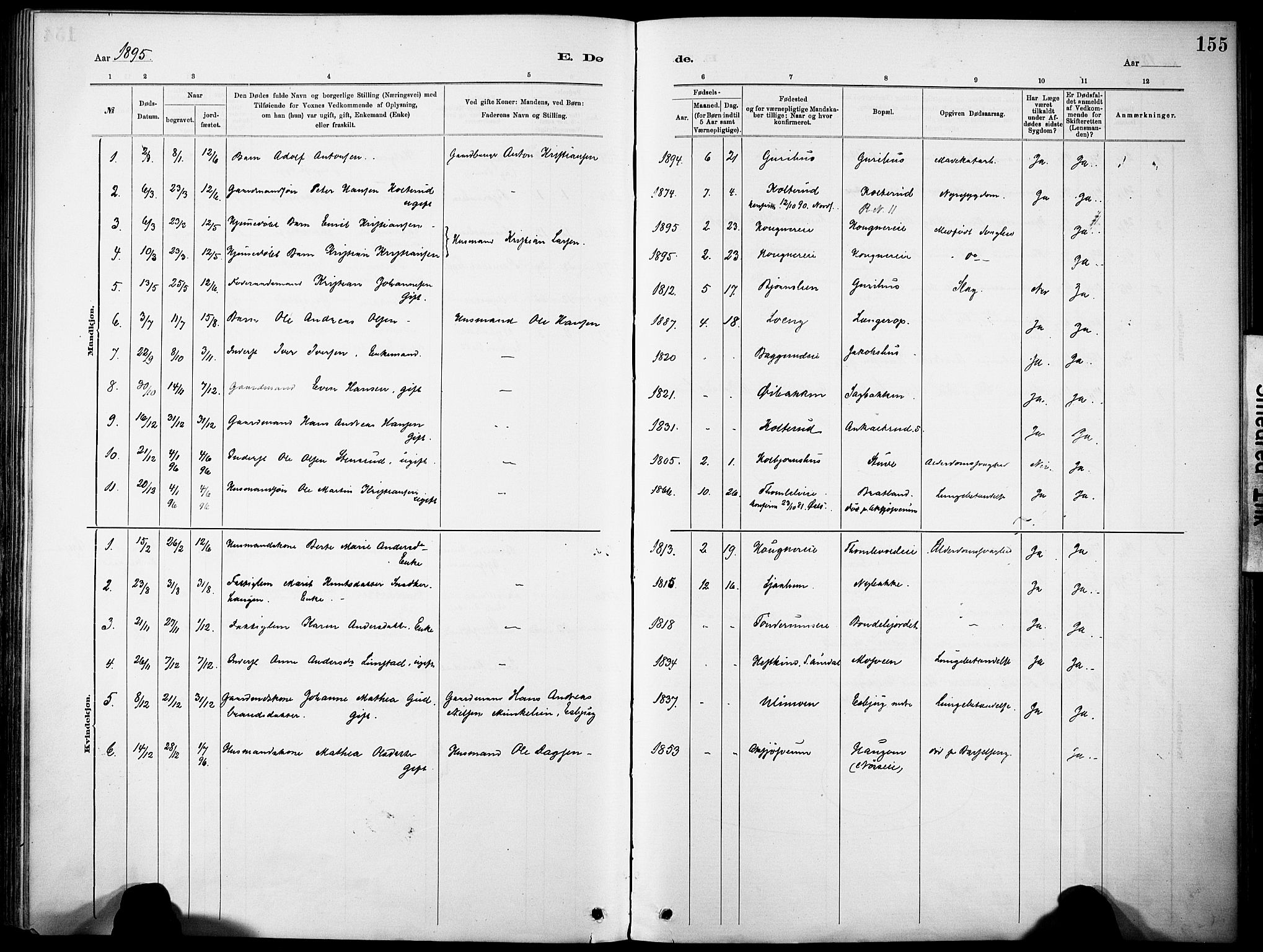 Nordre Land prestekontor, SAH/PREST-124/H/Ha/Haa/L0005: Parish register (official) no. 5, 1882-1903, p. 155