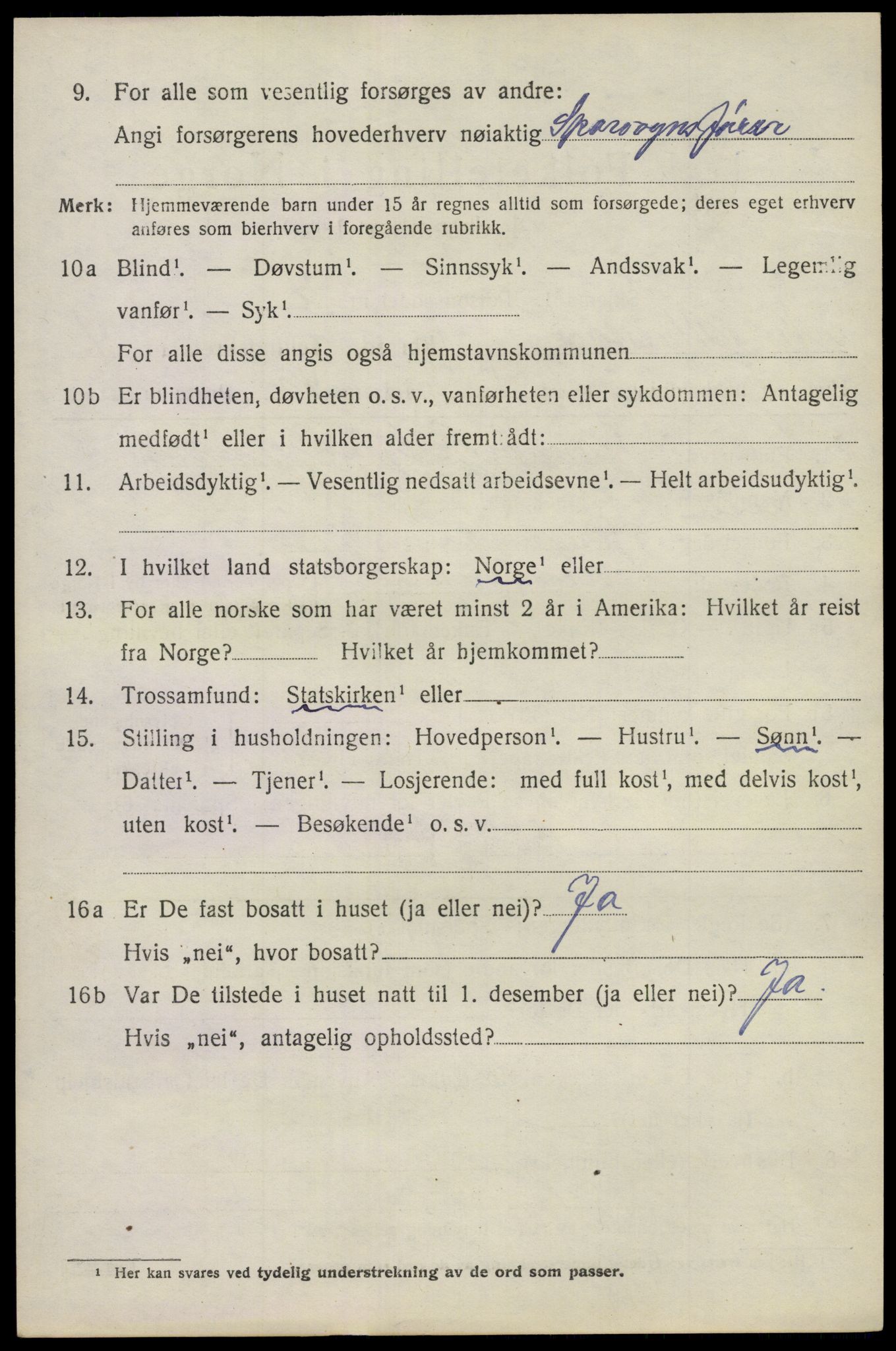 SAO, 1920 census for Nes, 1920, p. 13955