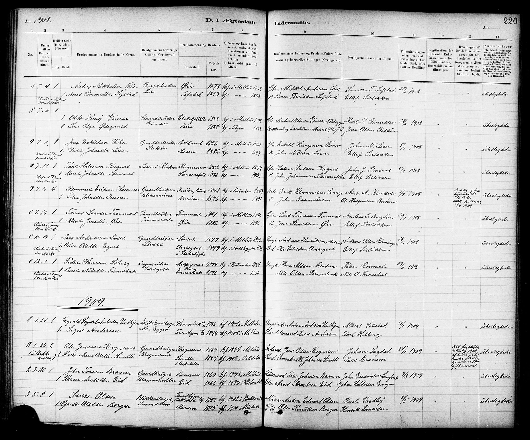 Ministerialprotokoller, klokkerbøker og fødselsregistre - Sør-Trøndelag, SAT/A-1456/691/L1094: Parish register (copy) no. 691C05, 1879-1911, p. 226