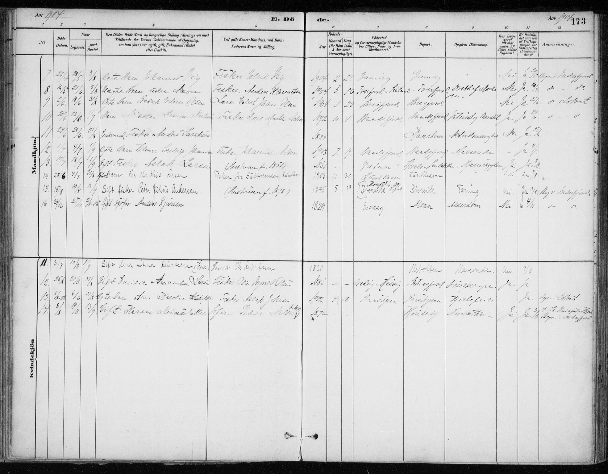 Hammerfest sokneprestkontor, SATØ/S-1347/H/Ha/L0013.kirke: Parish register (official) no. 13, 1898-1917, p. 173