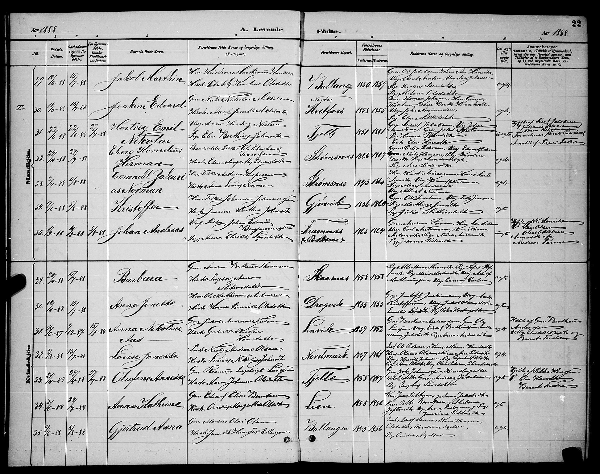Ministerialprotokoller, klokkerbøker og fødselsregistre - Nordland, SAT/A-1459/863/L0914: Parish register (copy) no. 863C04, 1886-1897, p. 22