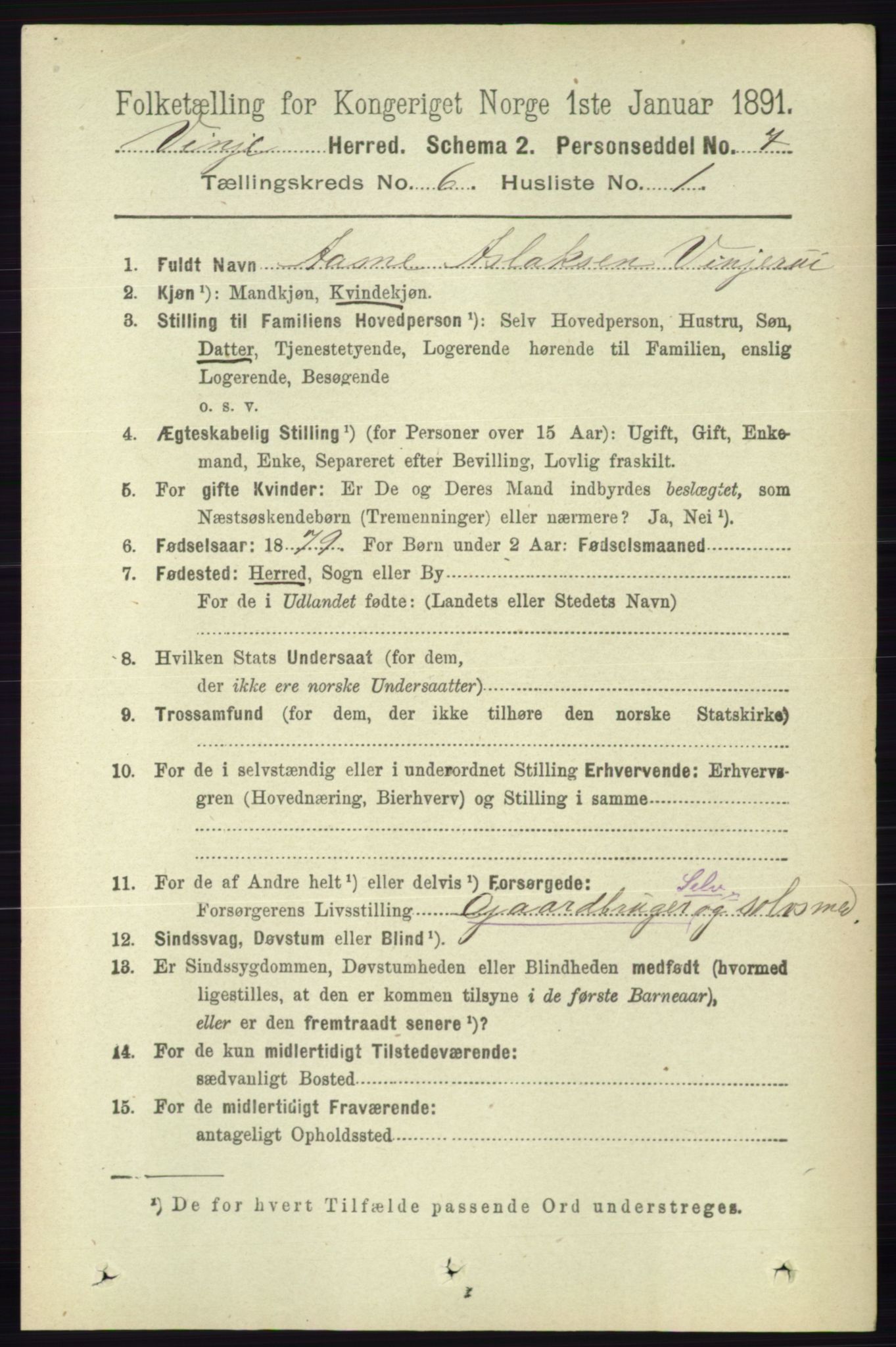 RA, 1891 census for 0834 Vinje, 1891, p. 1417