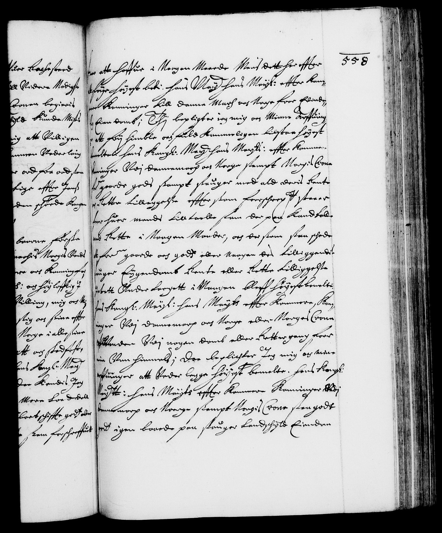 Danske Kanselli 1572-1799, RA/EA-3023/F/Fc/Fca/Fcaa/L0007: Norske registre (mikrofilm), 1648-1650, p. 558a
