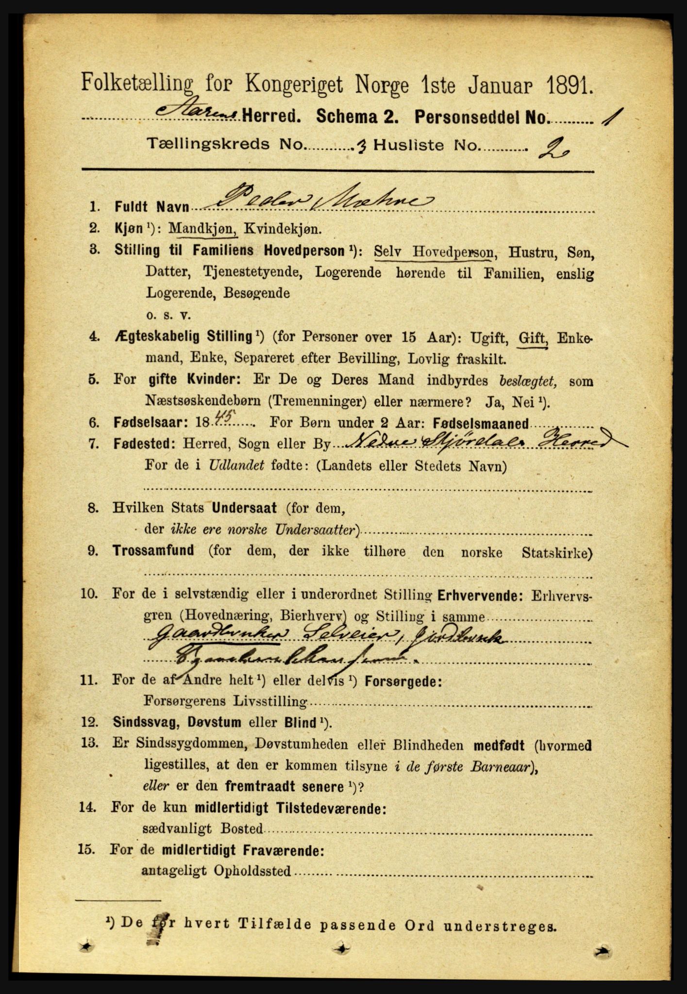 RA, 1891 census for 1716 Åsen, 1891, p. 911
