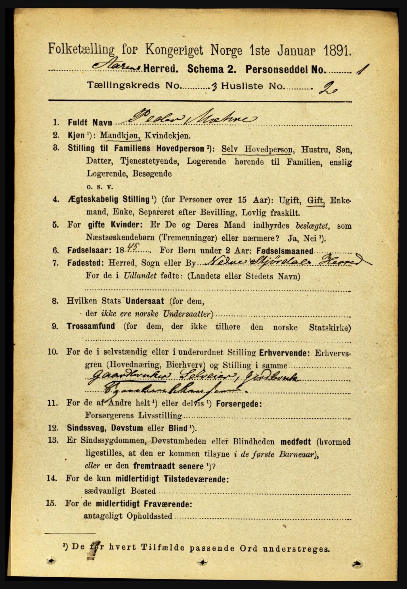 RA, 1891 census for 1716 Åsen, 1891, p. 911