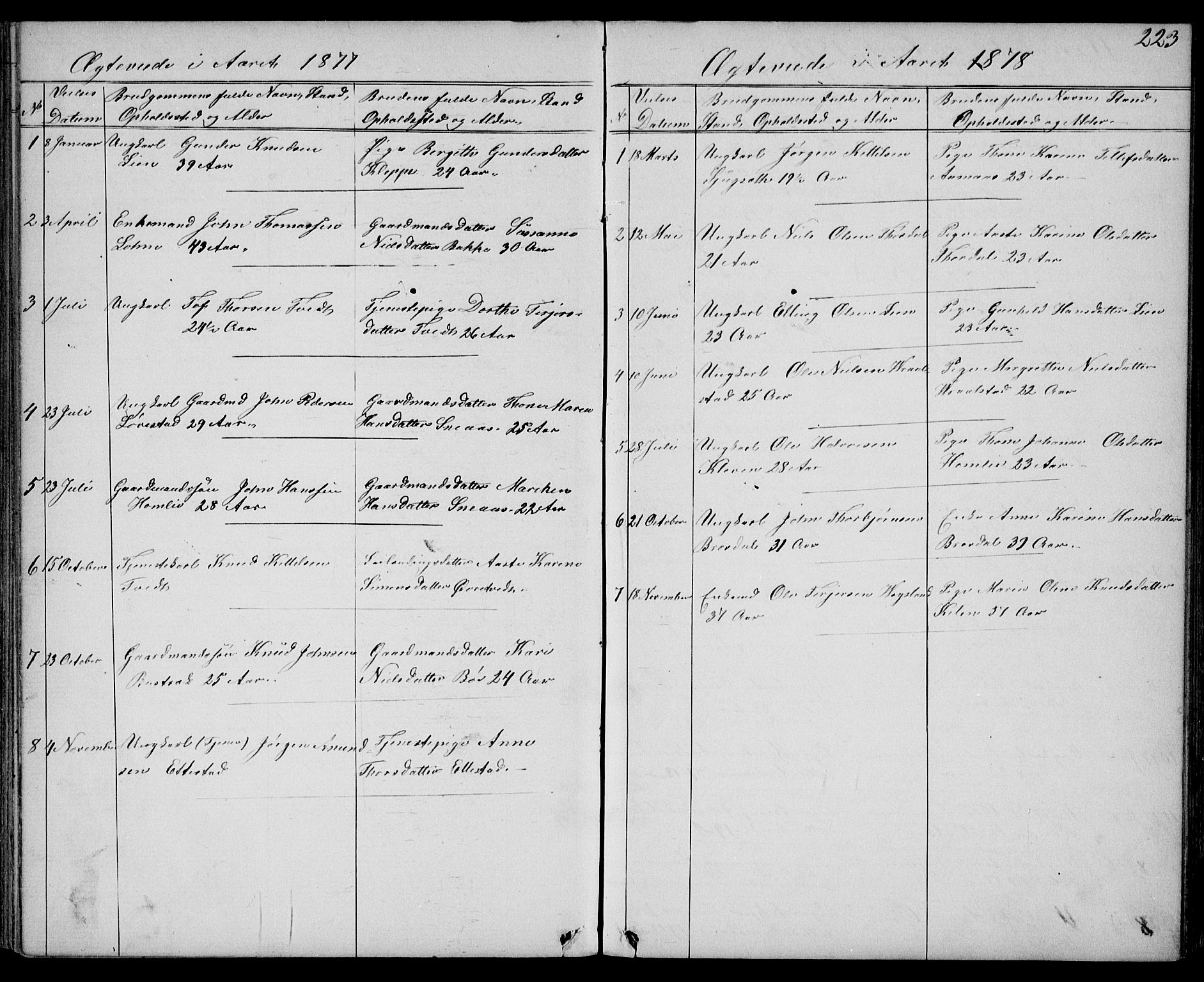 Drangedal kirkebøker, SAKO/A-258/G/Gb/L0001: Parish register (copy) no. II 1, 1856-1894, p. 223