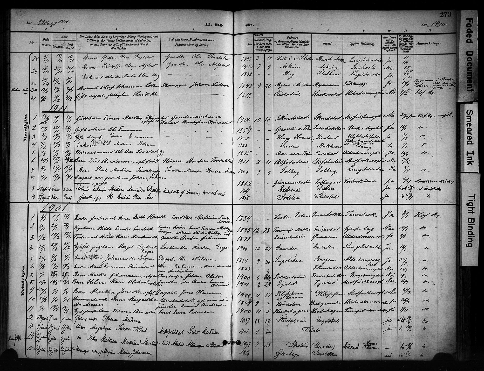 Østre Toten prestekontor, AV/SAH-PREST-104/H/Ha/Haa/L0008: Parish register (official) no. 8, 1897-1909, p. 273