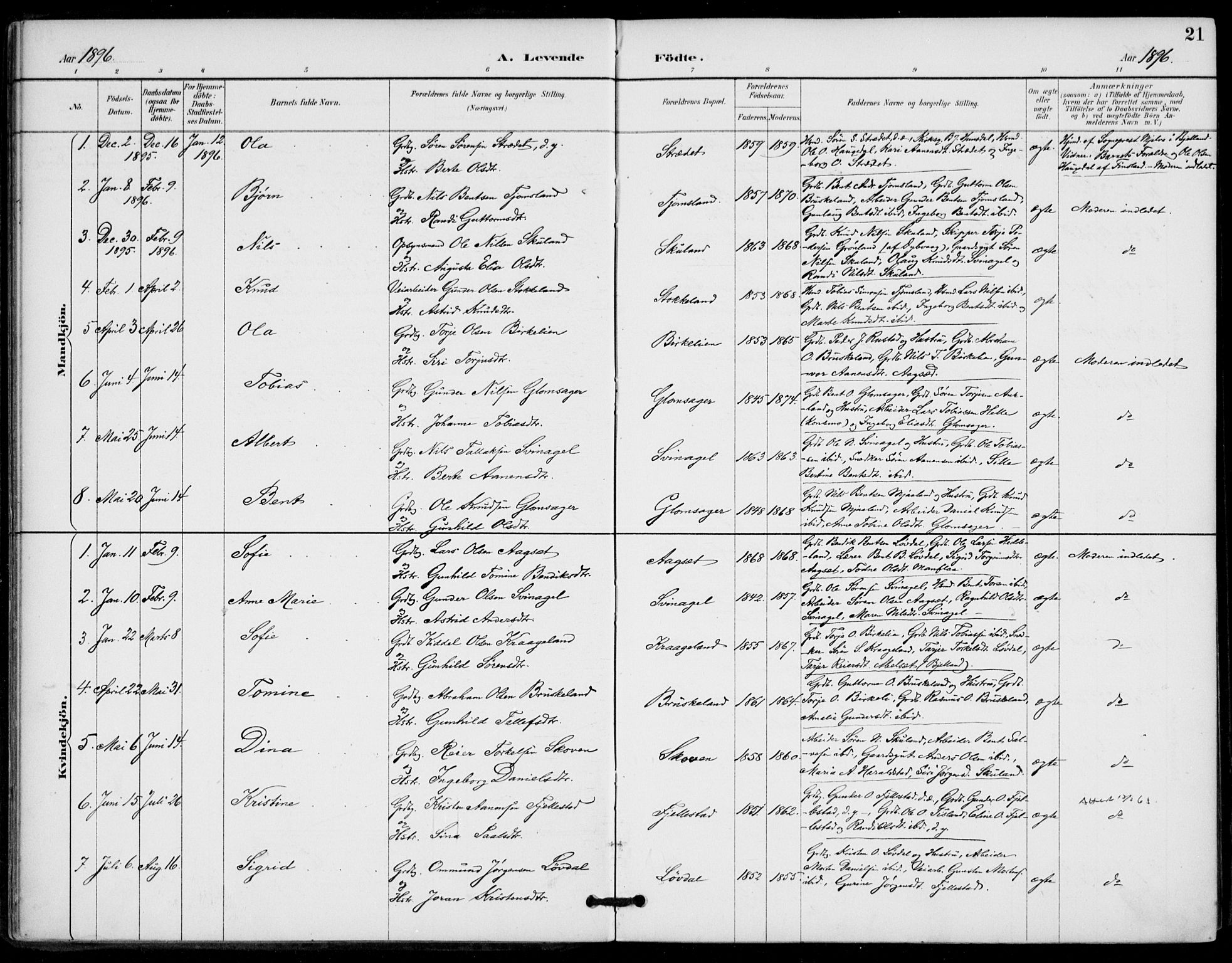 Holum sokneprestkontor, AV/SAK-1111-0022/F/Fa/Fab/L0007: Parish register (official) no. A 7, 1887-1912, p. 21