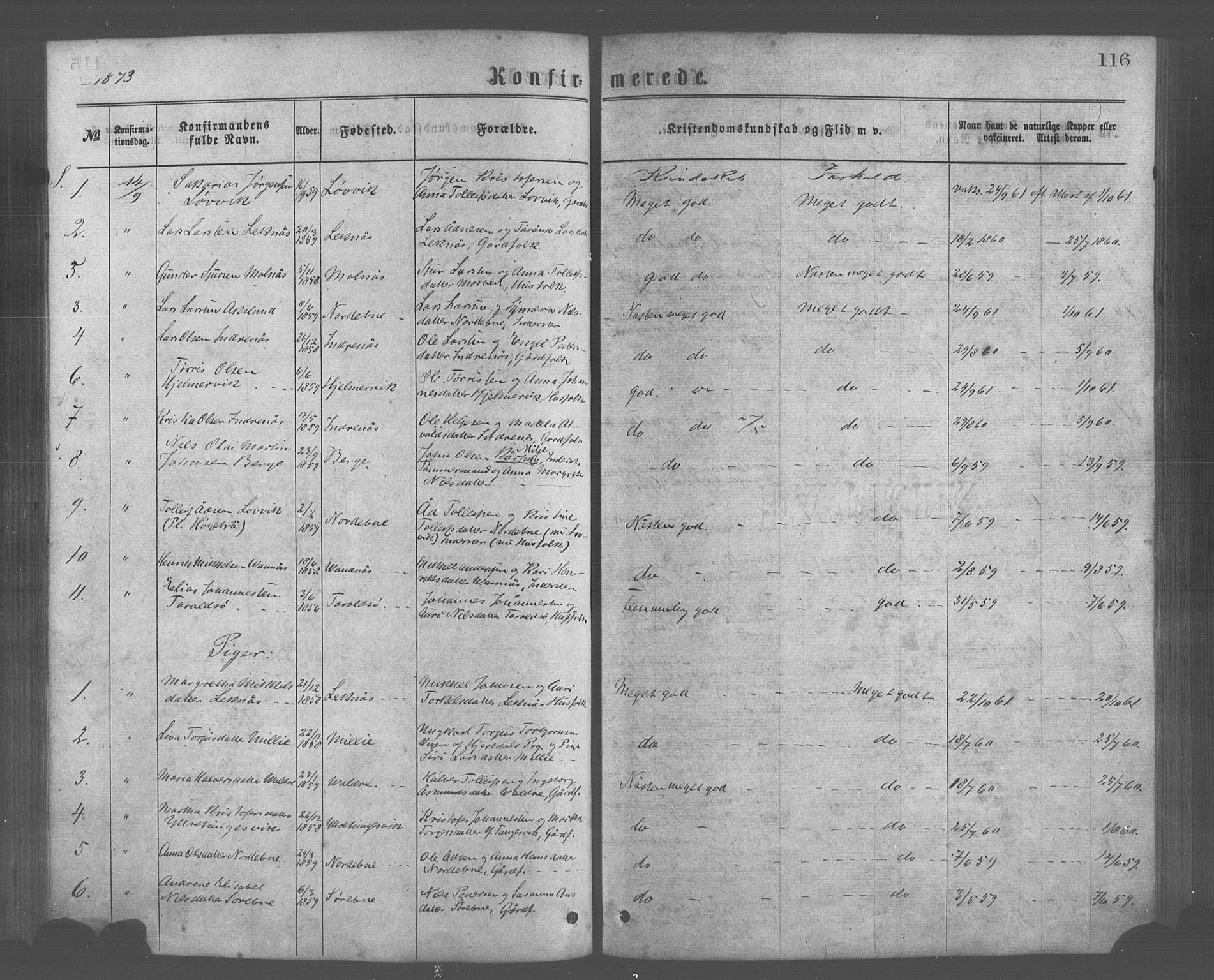 Skånevik sokneprestembete, AV/SAB-A-77801/H/Haa: Parish register (official) no. A 6, 1869-1878, p. 116