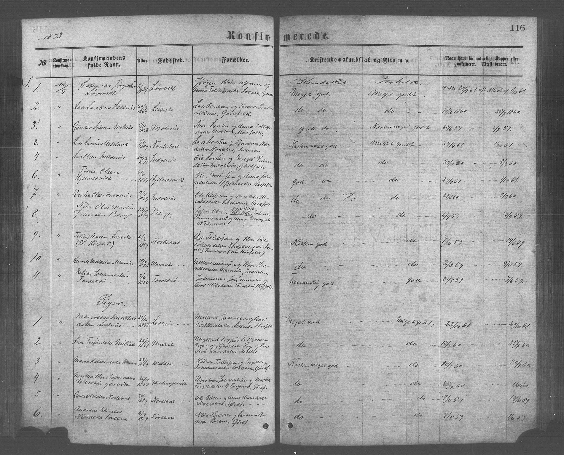 Skånevik sokneprestembete, AV/SAB-A-77801/H/Haa: Parish register (official) no. A 6, 1869-1878, p. 116