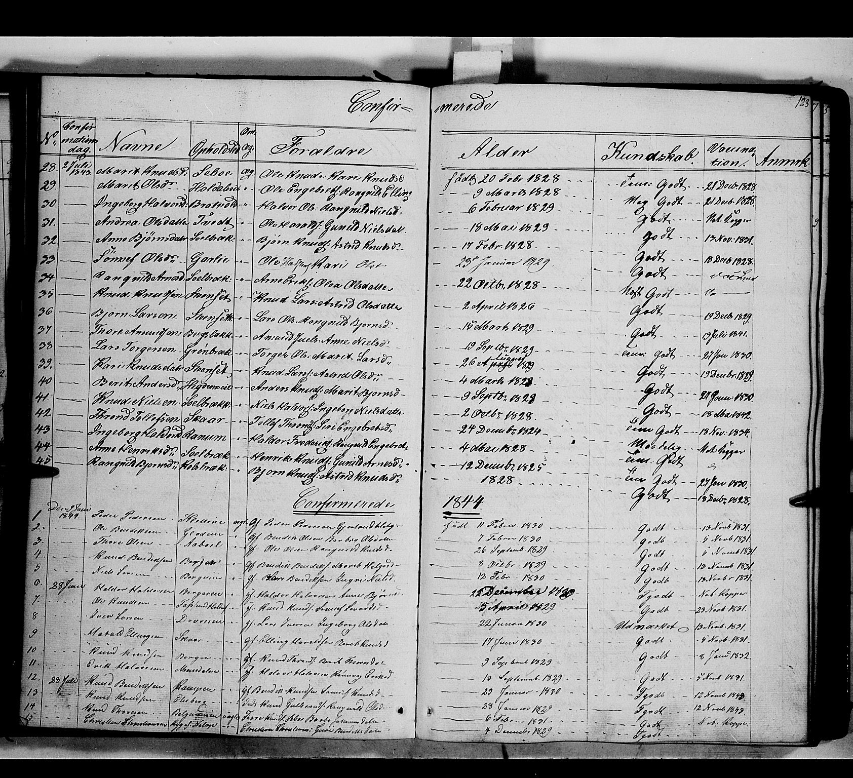 Nord-Aurdal prestekontor, SAH/PREST-132/H/Ha/Haa/L0007: Parish register (official) no. 7, 1842-1863, p. 123