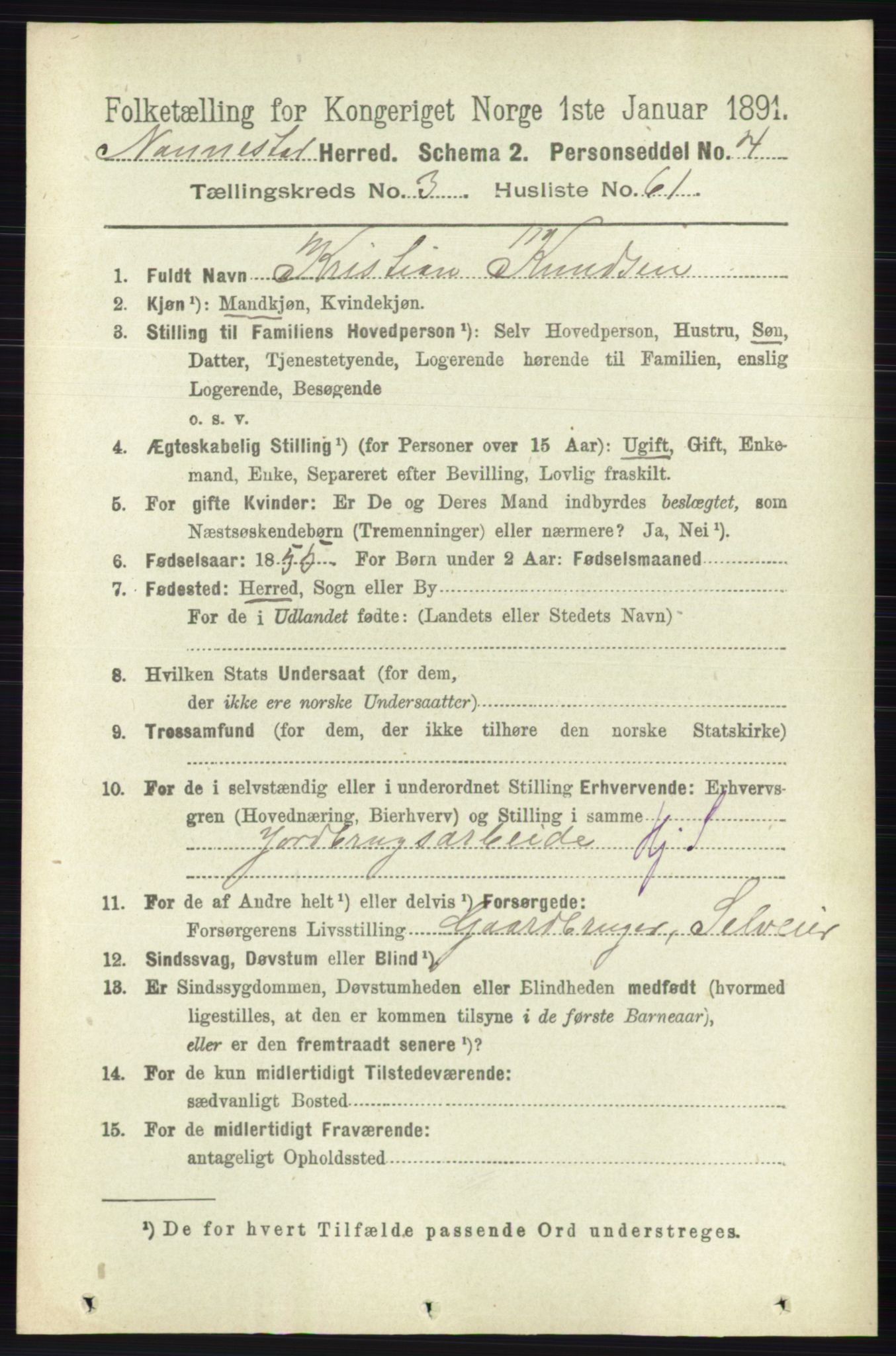 RA, 1891 census for 0238 Nannestad, 1891, p. 1821