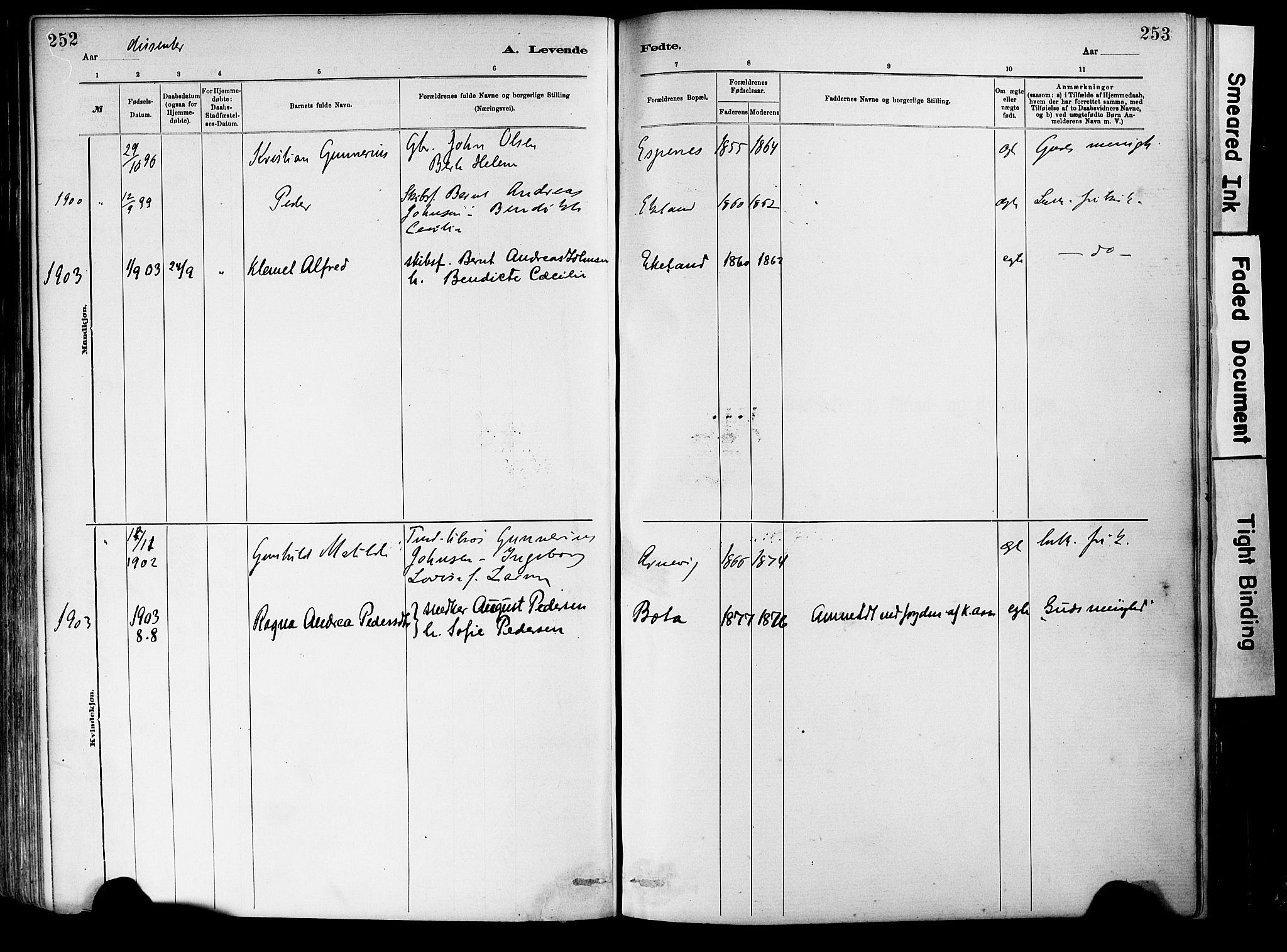 Dypvåg sokneprestkontor, SAK/1111-0007/F/Fa/Fab/L0001: Parish register (official) no. A 1, 1885-1912, p. 252-253