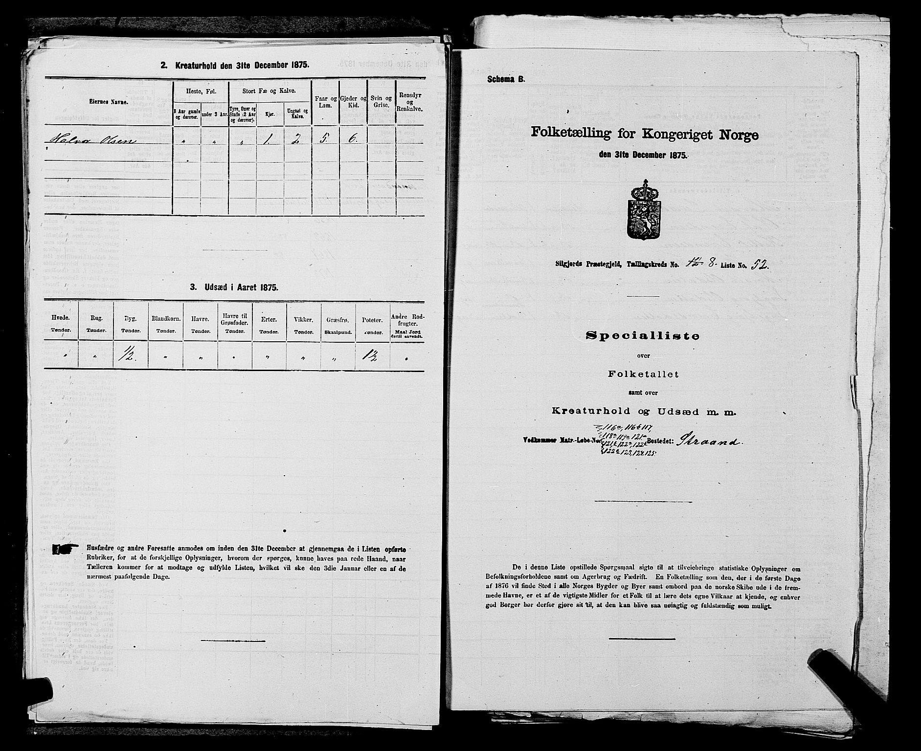 SAKO, 1875 census for 0828P Seljord, 1875, p. 1013