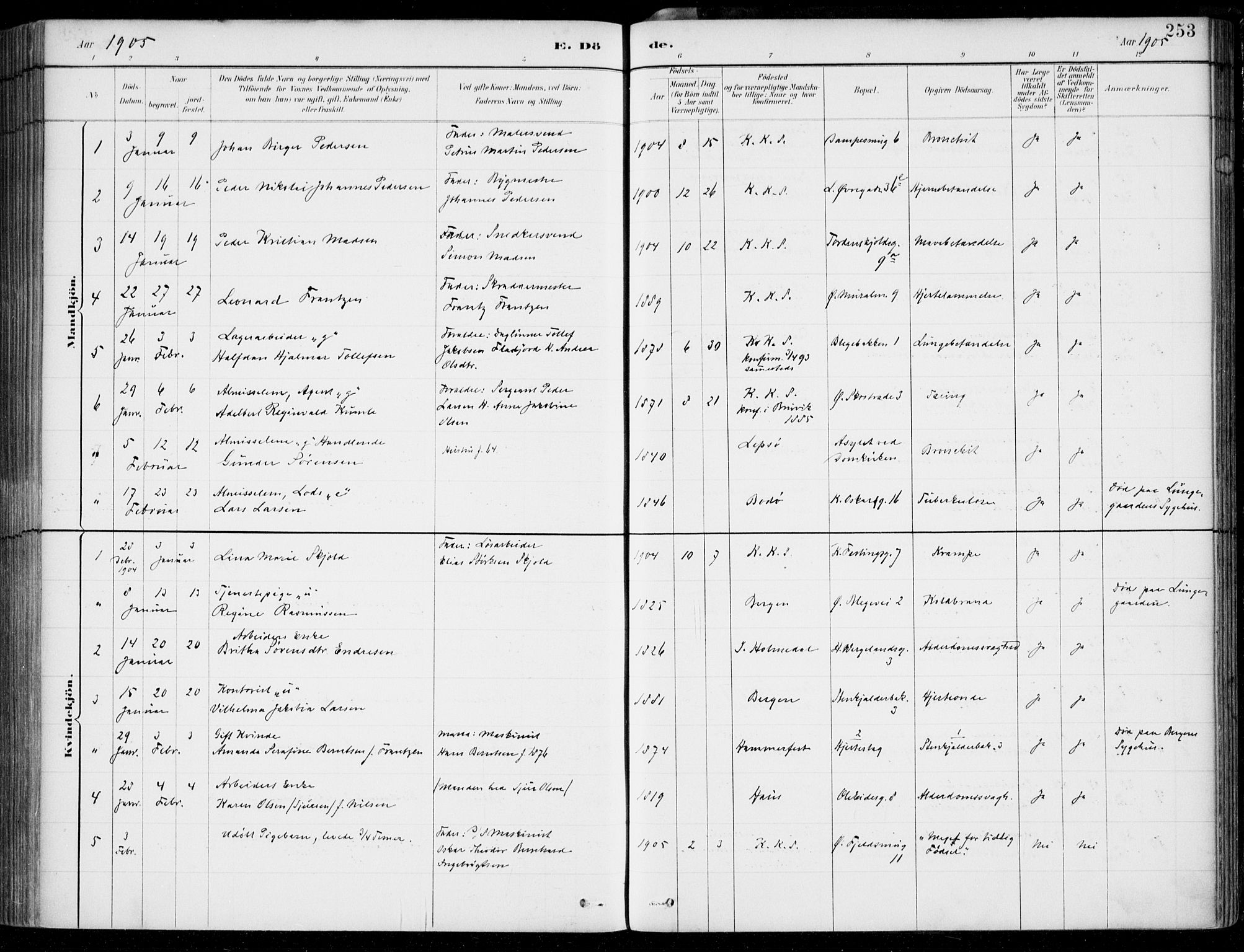 Korskirken sokneprestembete, AV/SAB-A-76101/H/Hab: Parish register (copy) no. E 4, 1884-1910, p. 253