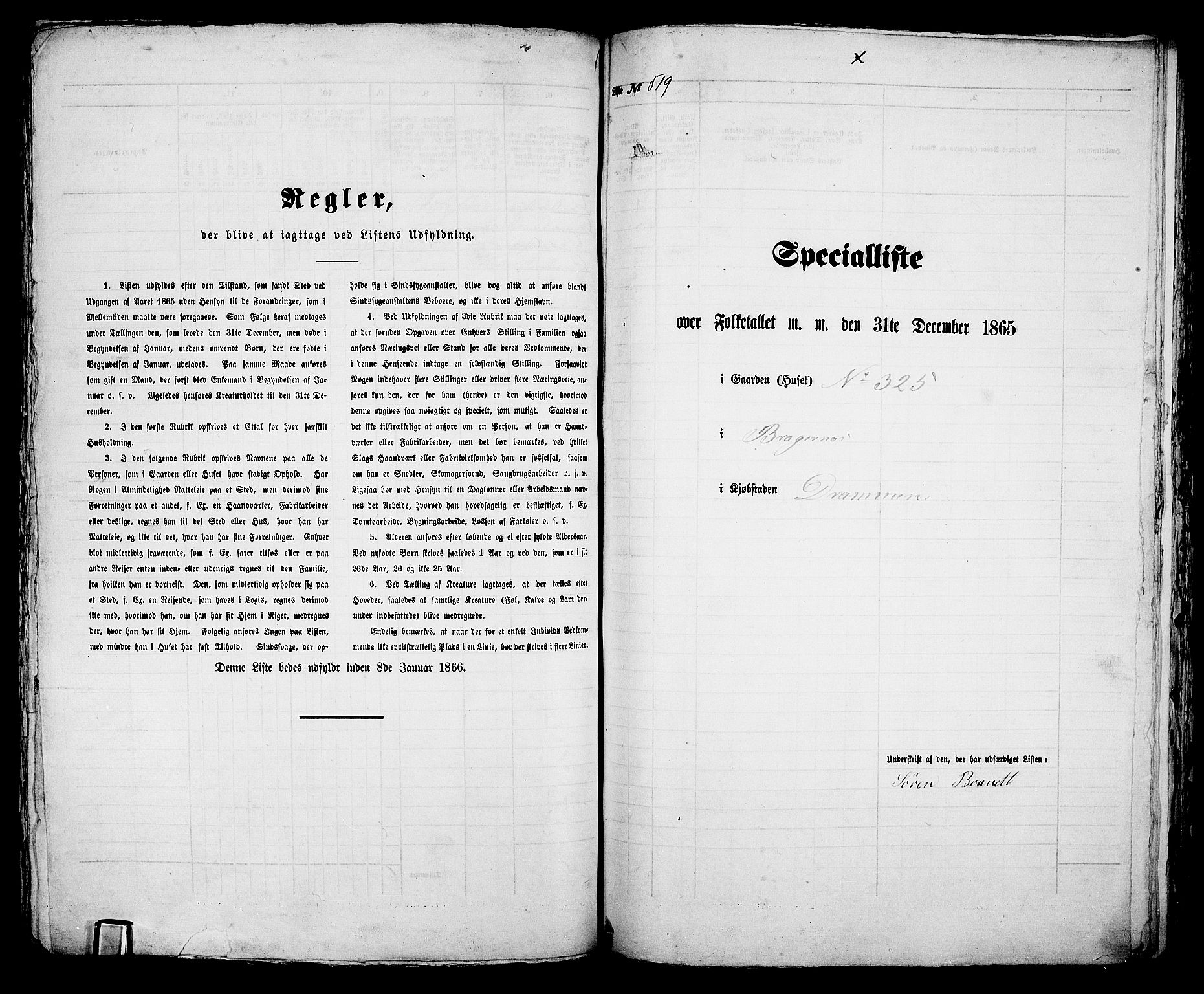 RA, 1865 census for Bragernes in Drammen, 1865, p. 1081