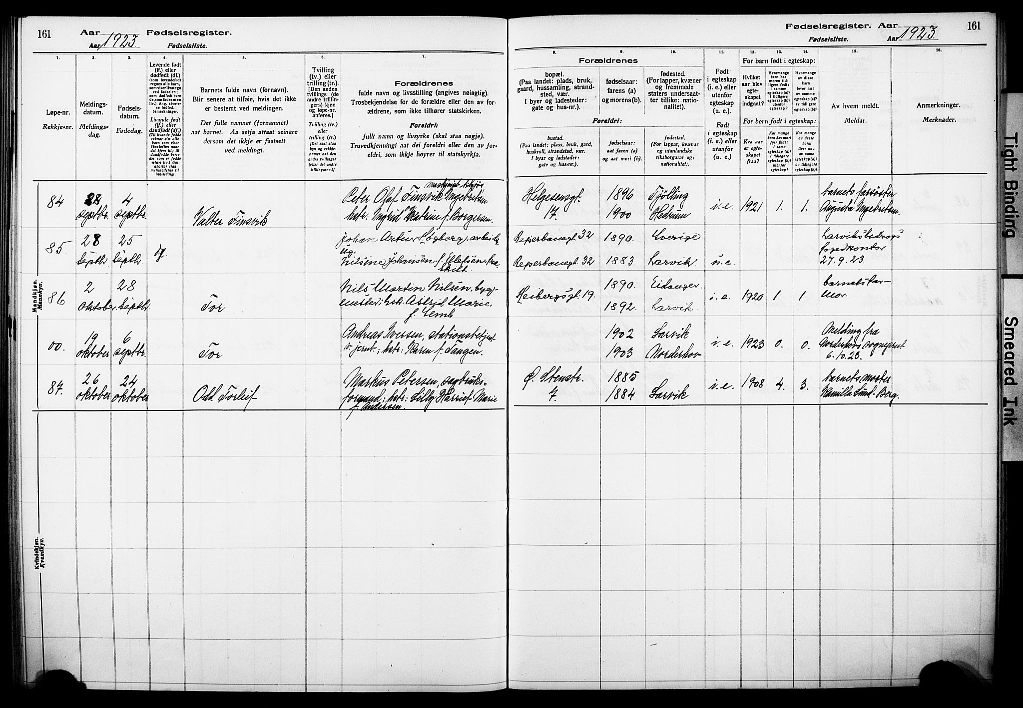 Larvik kirkebøker, AV/SAKO-A-352/J/Ja/L0001: Birth register no. I 1, 1916-1926, p. 161