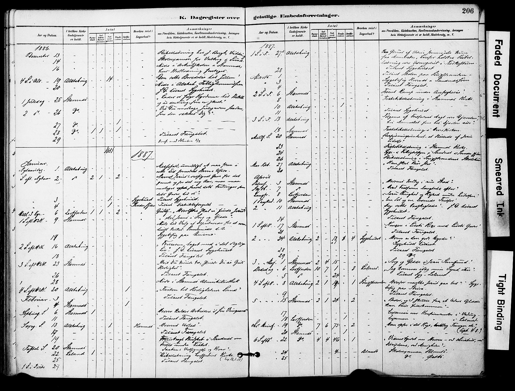 Ministerialprotokoller, klokkerbøker og fødselsregistre - Nordland, AV/SAT-A-1459/830/L0450: Parish register (official) no. 830A14, 1879-1896, p. 206