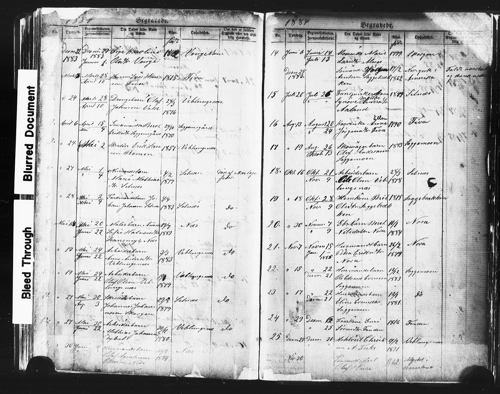 Ministerialprotokoller, klokkerbøker og fødselsregistre - Møre og Romsdal, AV/SAT-A-1454/544/L0580: Parish register (copy) no. 544C02, 1867-1909, p. 251