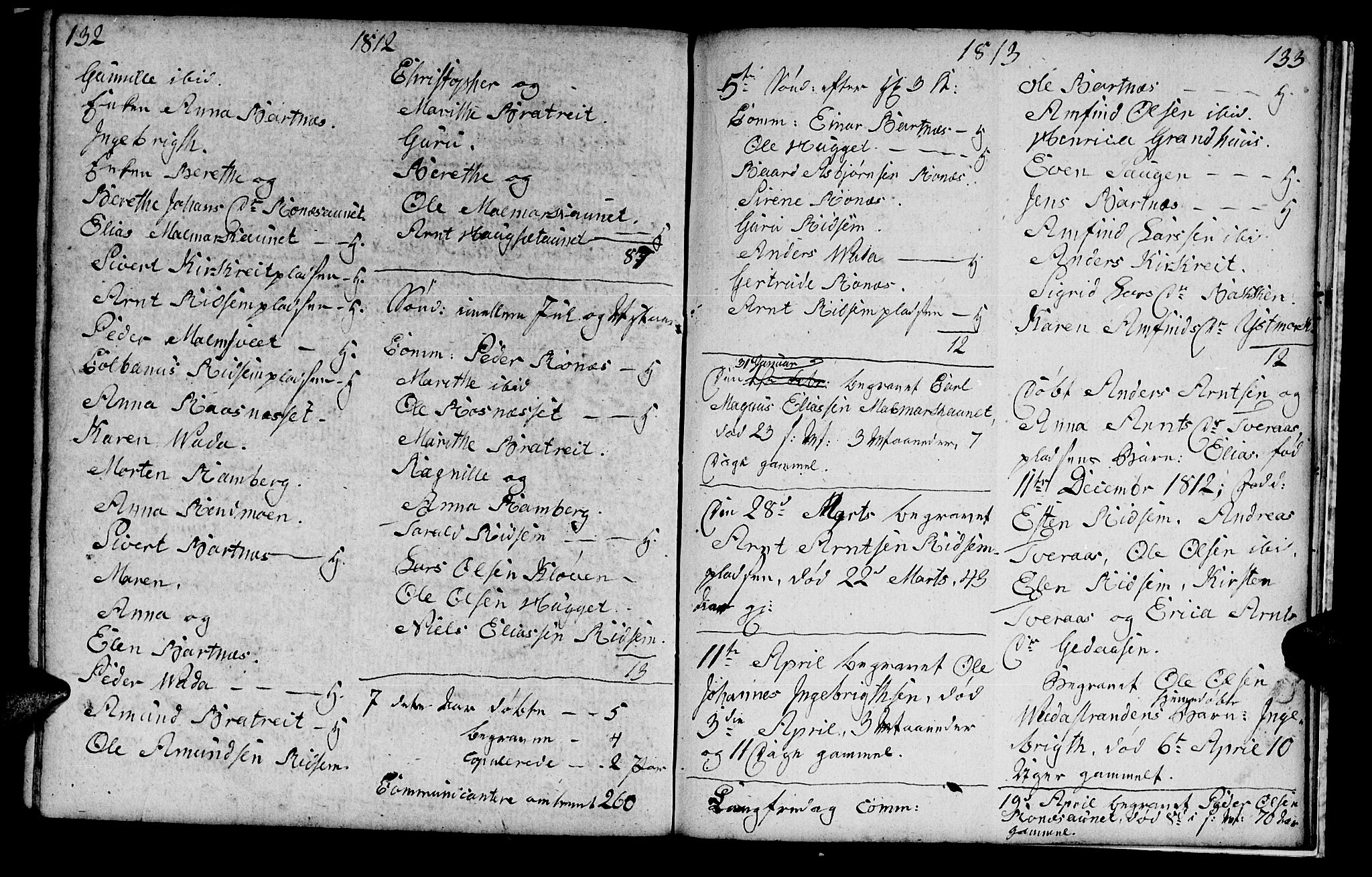 Ministerialprotokoller, klokkerbøker og fødselsregistre - Nord-Trøndelag, SAT/A-1458/745/L0432: Parish register (copy) no. 745C01, 1802-1814, p. 132-133