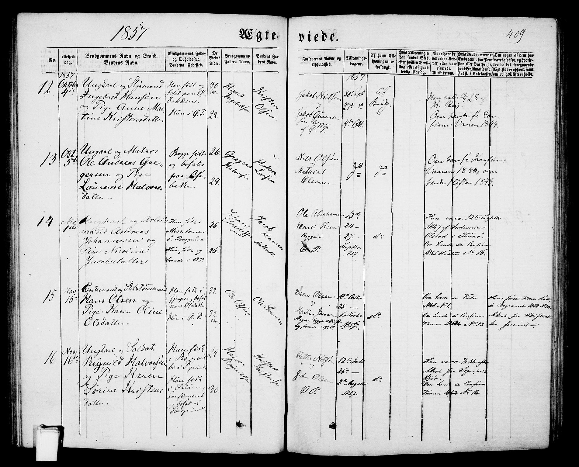 Porsgrunn kirkebøker , SAKO/A-104/G/Gb/L0004: Parish register (copy) no. II 4, 1853-1882, p. 409