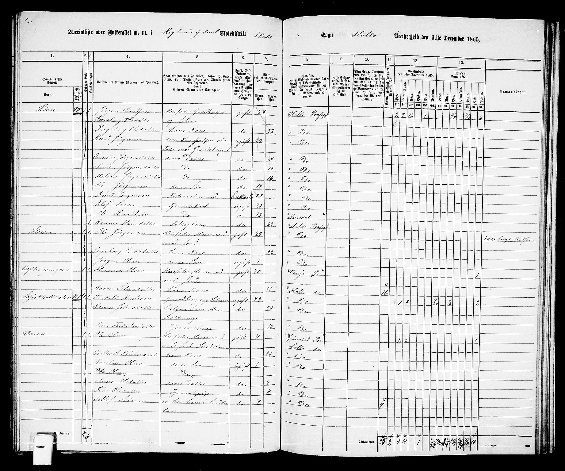 RA, 1865 census for Holt/Holt, 1865, p. 148