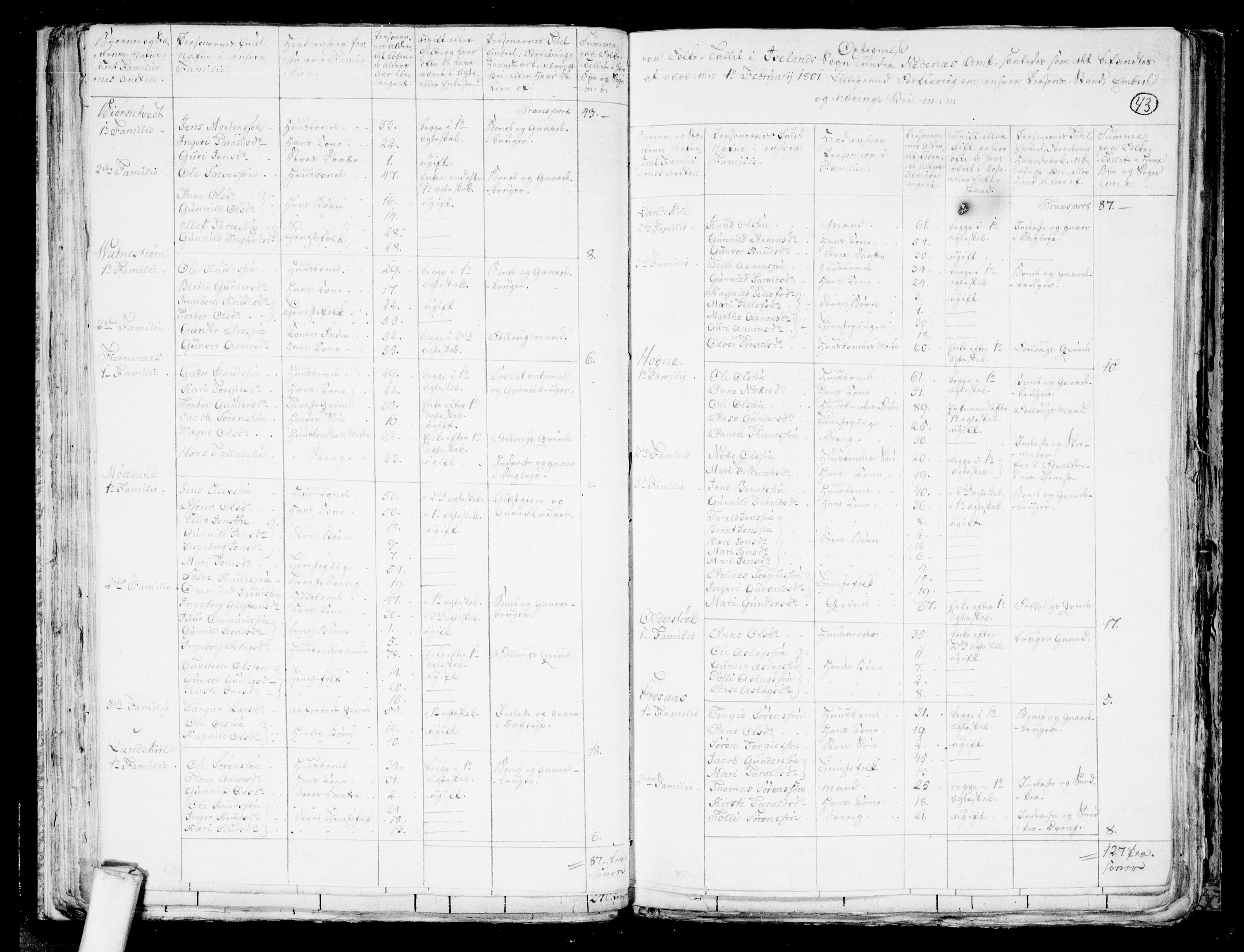 RA, 1801 census for 0934P Evje, 1801, p. 42b-43a