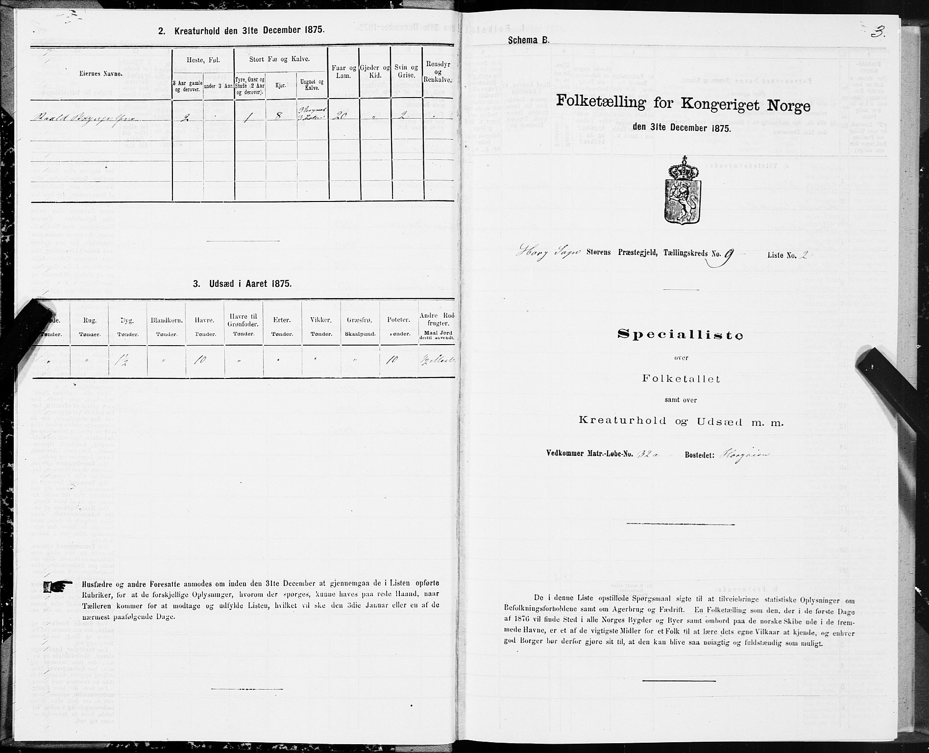 SAT, 1875 census for 1648P Støren, 1875, p. 5003