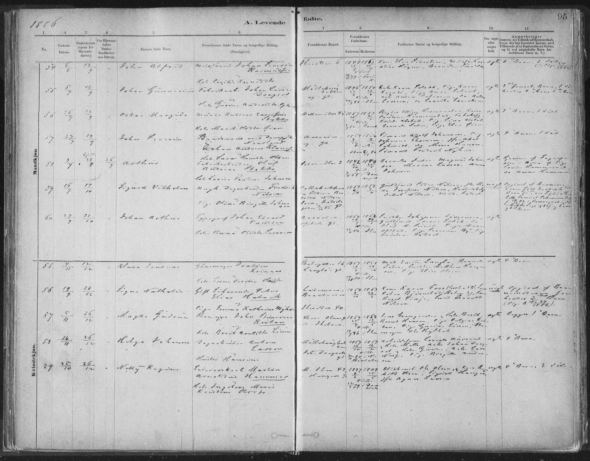 Ministerialprotokoller, klokkerbøker og fødselsregistre - Sør-Trøndelag, SAT/A-1456/603/L0162: Parish register (official) no. 603A01, 1879-1895, p. 95