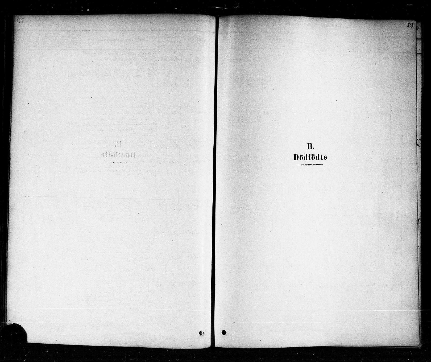 Aremark prestekontor Kirkebøker, SAO/A-10899/F/Fb/L0004: Parish register (official) no. II 4, 1878-1895, p. 79