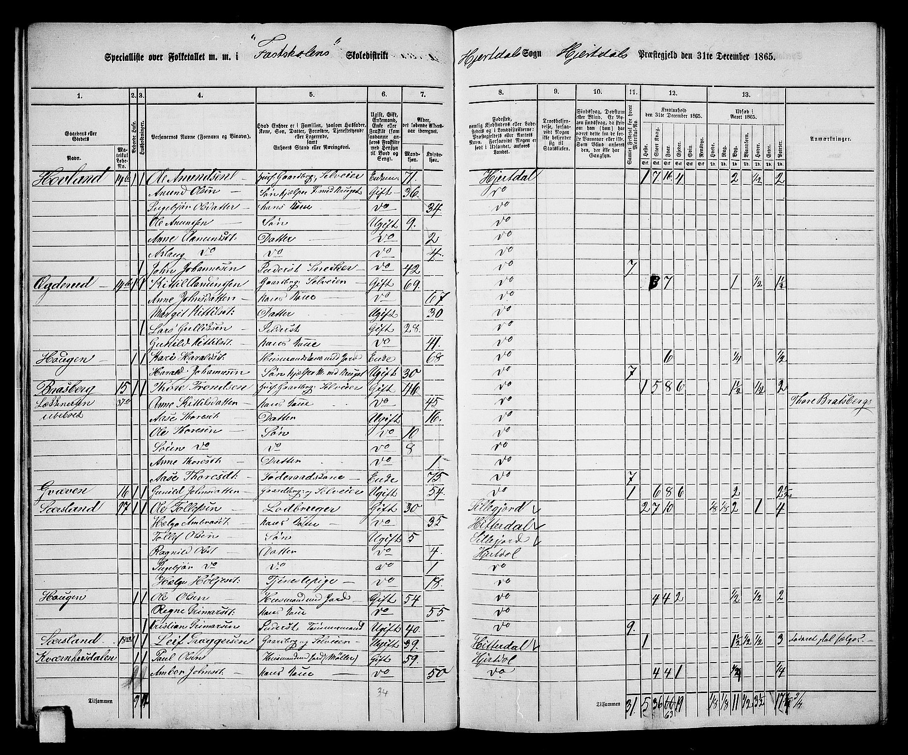 RA, 1865 census for Hjartdal, 1865, p. 16