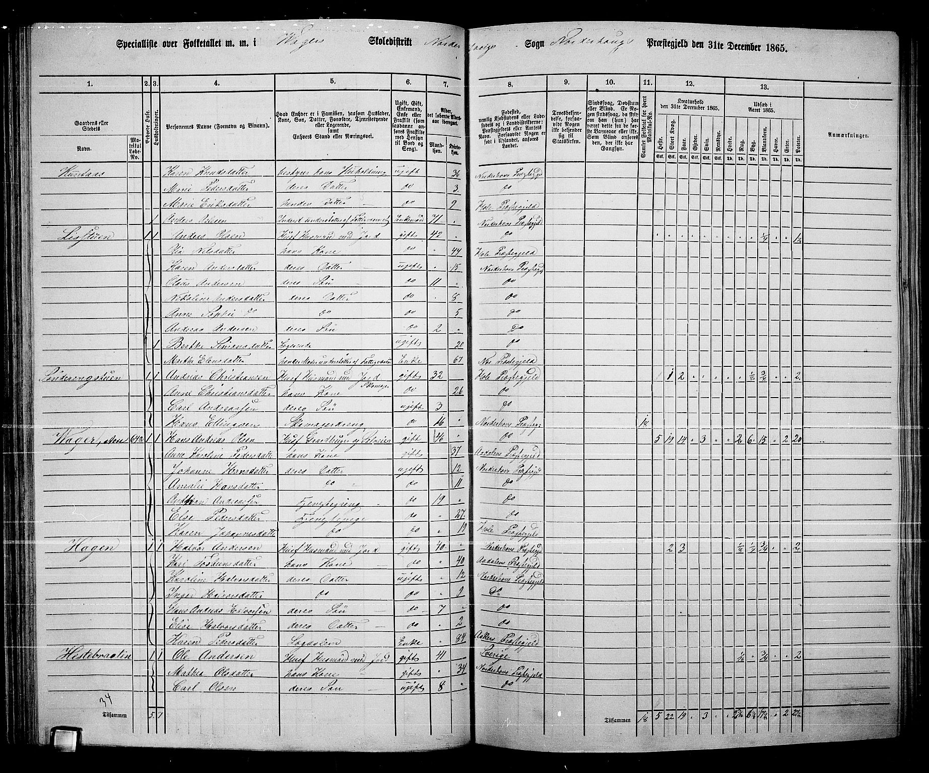 RA, 1865 census for Norderhov/Norderhov, Haug og Lunder, 1865, p. 96