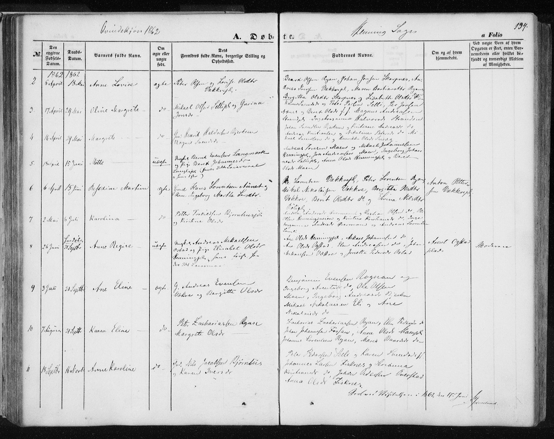 Ministerialprotokoller, klokkerbøker og fødselsregistre - Nord-Trøndelag, SAT/A-1458/735/L0342: Parish register (official) no. 735A07 /3, 1849-1862, p. 134