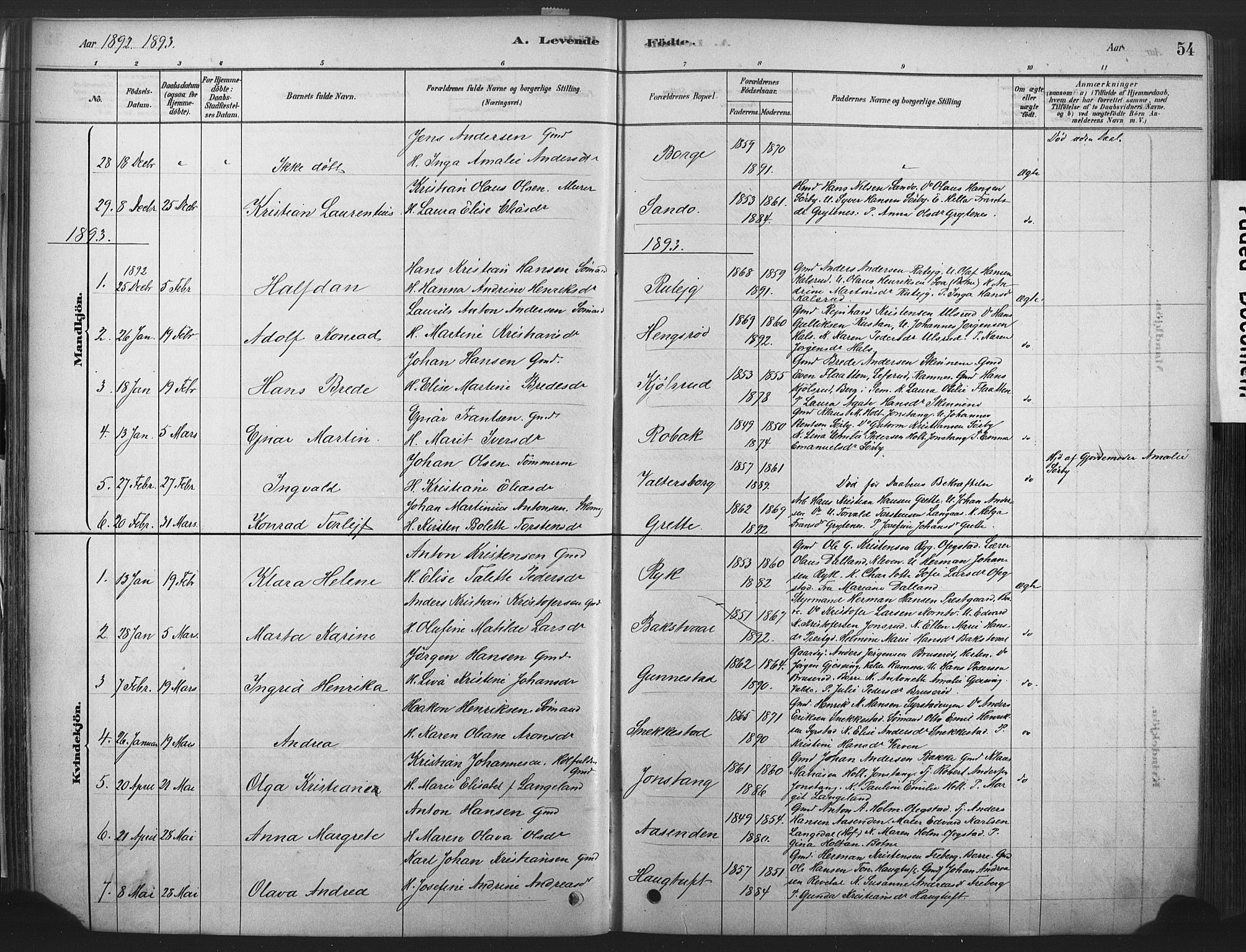 Våle kirkebøker, SAKO/A-334/F/Fa/L0011: Parish register (official) no. I 11, 1878-1906, p. 54