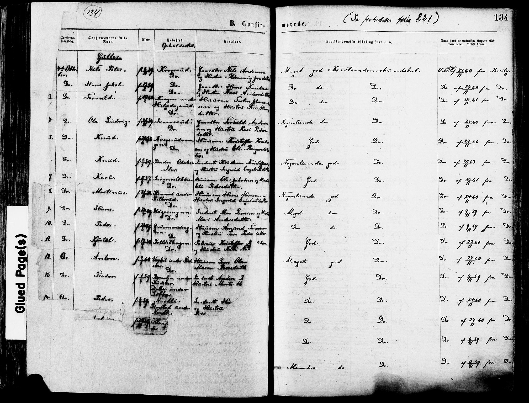 Nord-Odal prestekontor, SAH/PREST-032/H/Ha/Haa/L0005: Parish register (official) no. 5, 1874-1885, p. 134