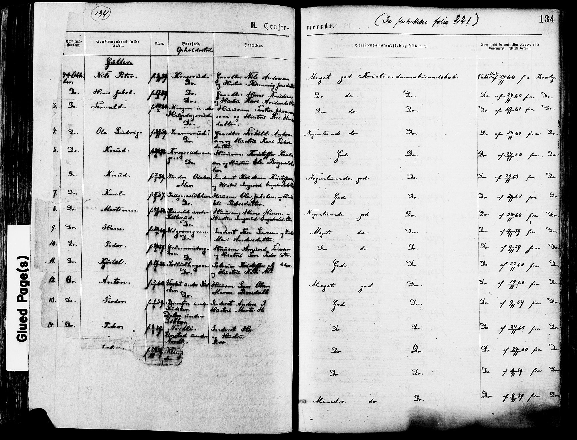 Nord-Odal prestekontor, AV/SAH-PREST-032/H/Ha/Haa/L0005: Parish register (official) no. 5, 1874-1885, p. 134