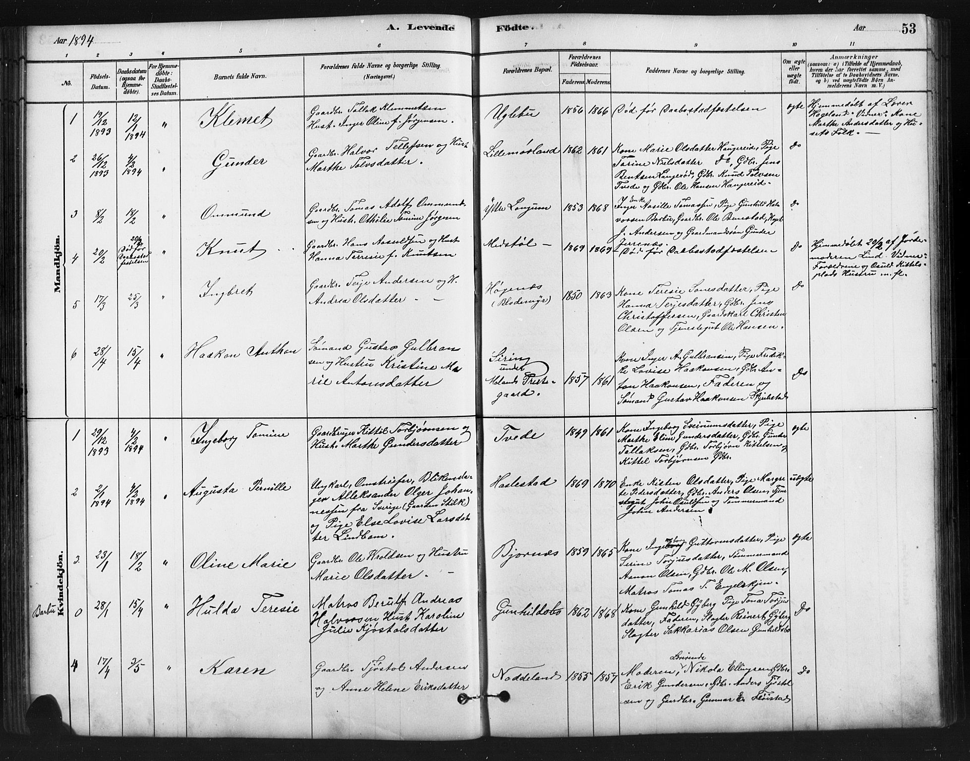 Austre Moland sokneprestkontor, SAK/1111-0001/F/Fb/Fba/L0003: Parish register (copy) no. B 3, 1879-1914, p. 53