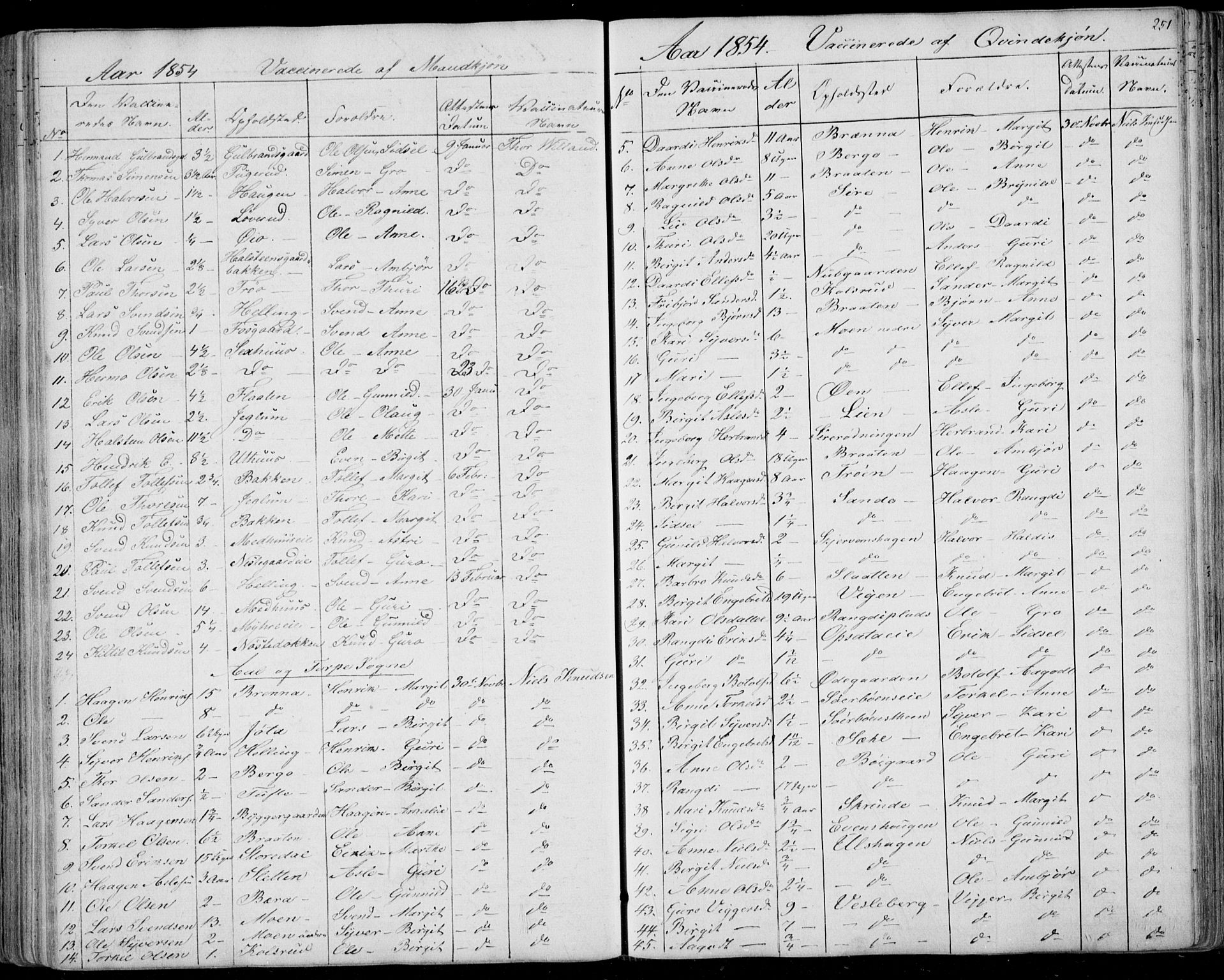 Ål kirkebøker, AV/SAKO-A-249/F/Fa/L0006: Parish register (official) no. I 6, 1849-1864, p. 251