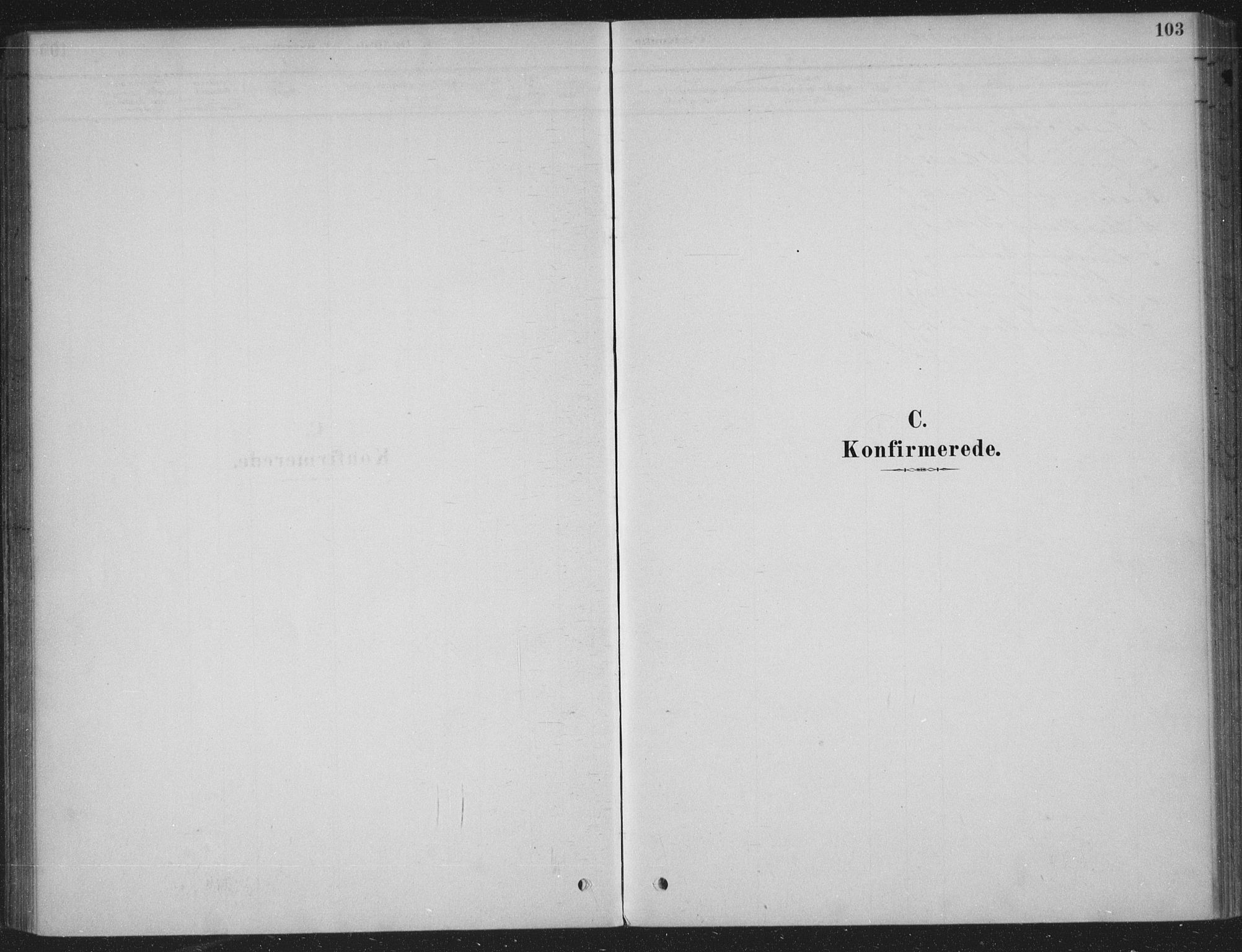 Sandsvær kirkebøker, AV/SAKO-A-244/F/Fe/L0001: Parish register (official) no. V 1, 1878-1936, p. 103