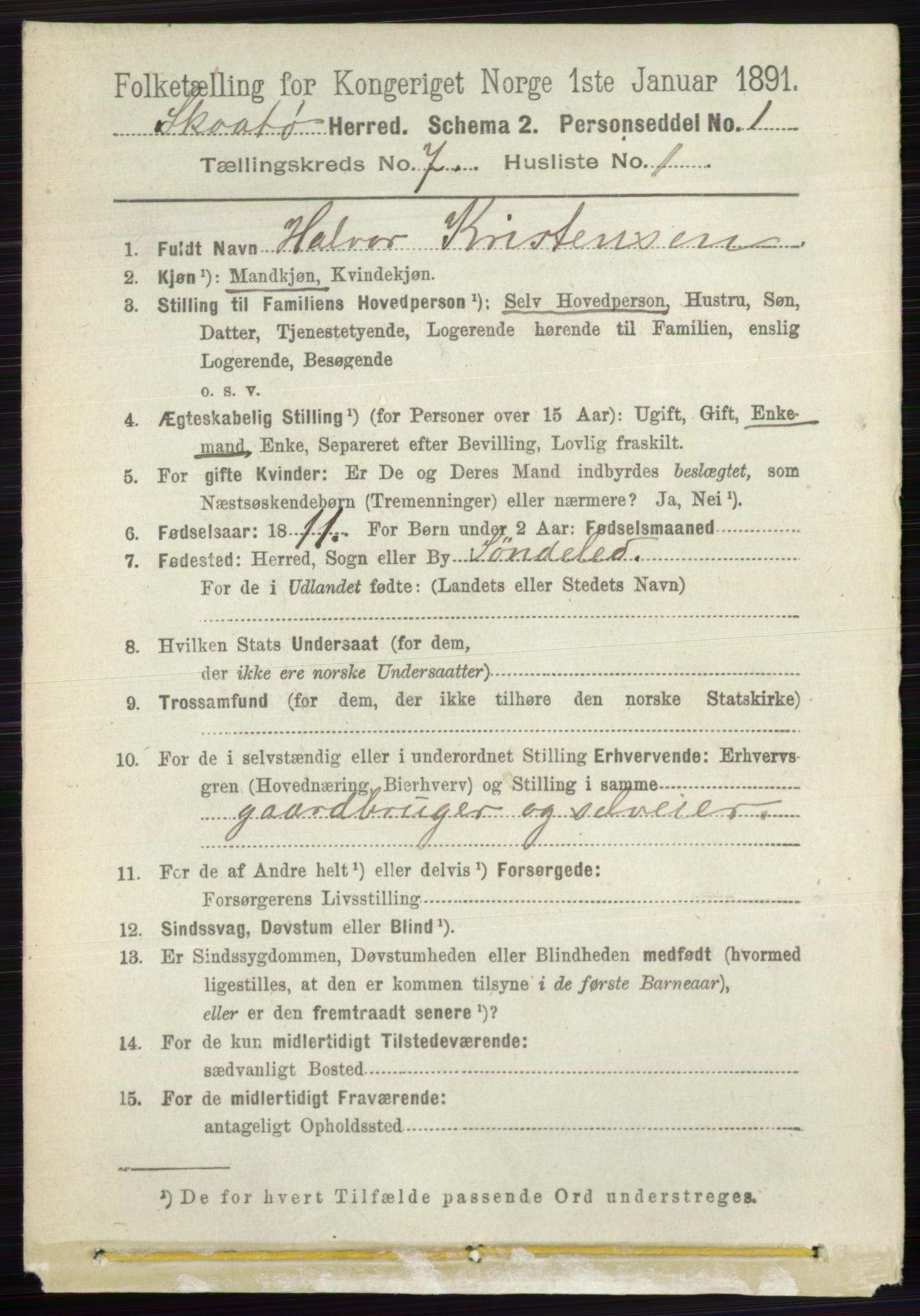 RA, 1891 census for 0815 Skåtøy, 1891, p. 3077