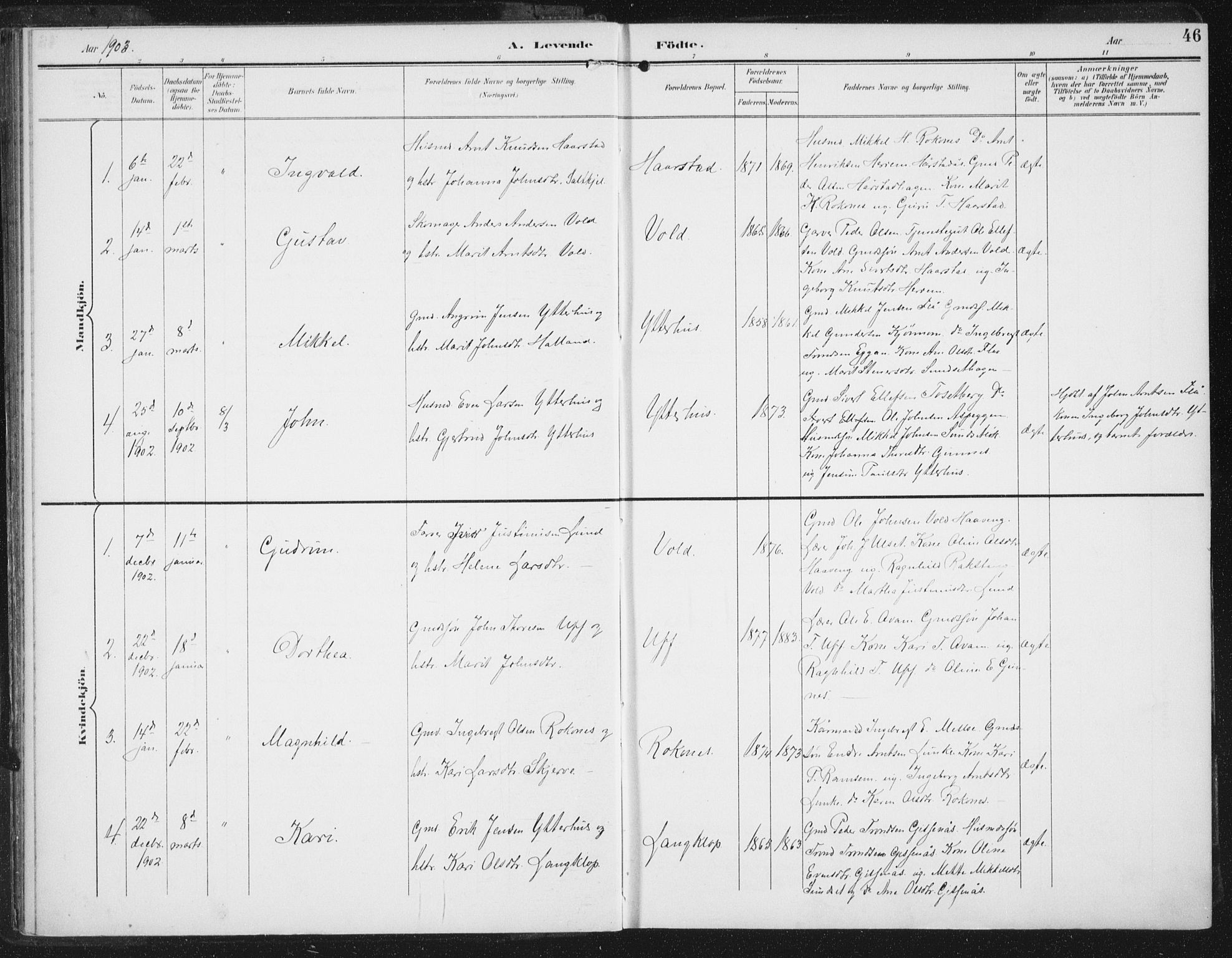 Ministerialprotokoller, klokkerbøker og fødselsregistre - Sør-Trøndelag, SAT/A-1456/674/L0872: Parish register (official) no. 674A04, 1897-1907, p. 46