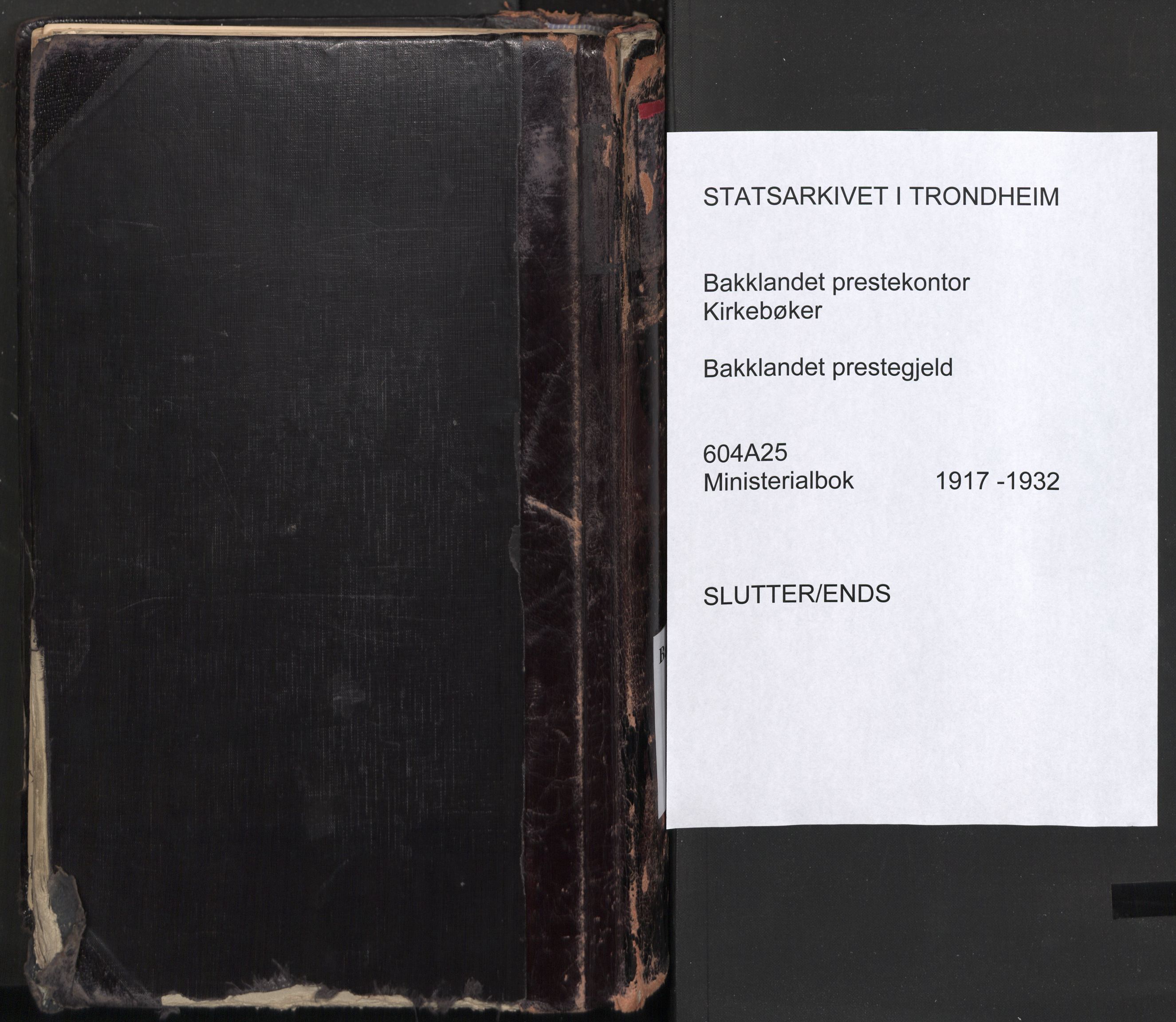 Ministerialprotokoller, klokkerbøker og fødselsregistre - Sør-Trøndelag, SAT/A-1456/604/L0205: Parish register (official) no. 604A25, 1917-1932