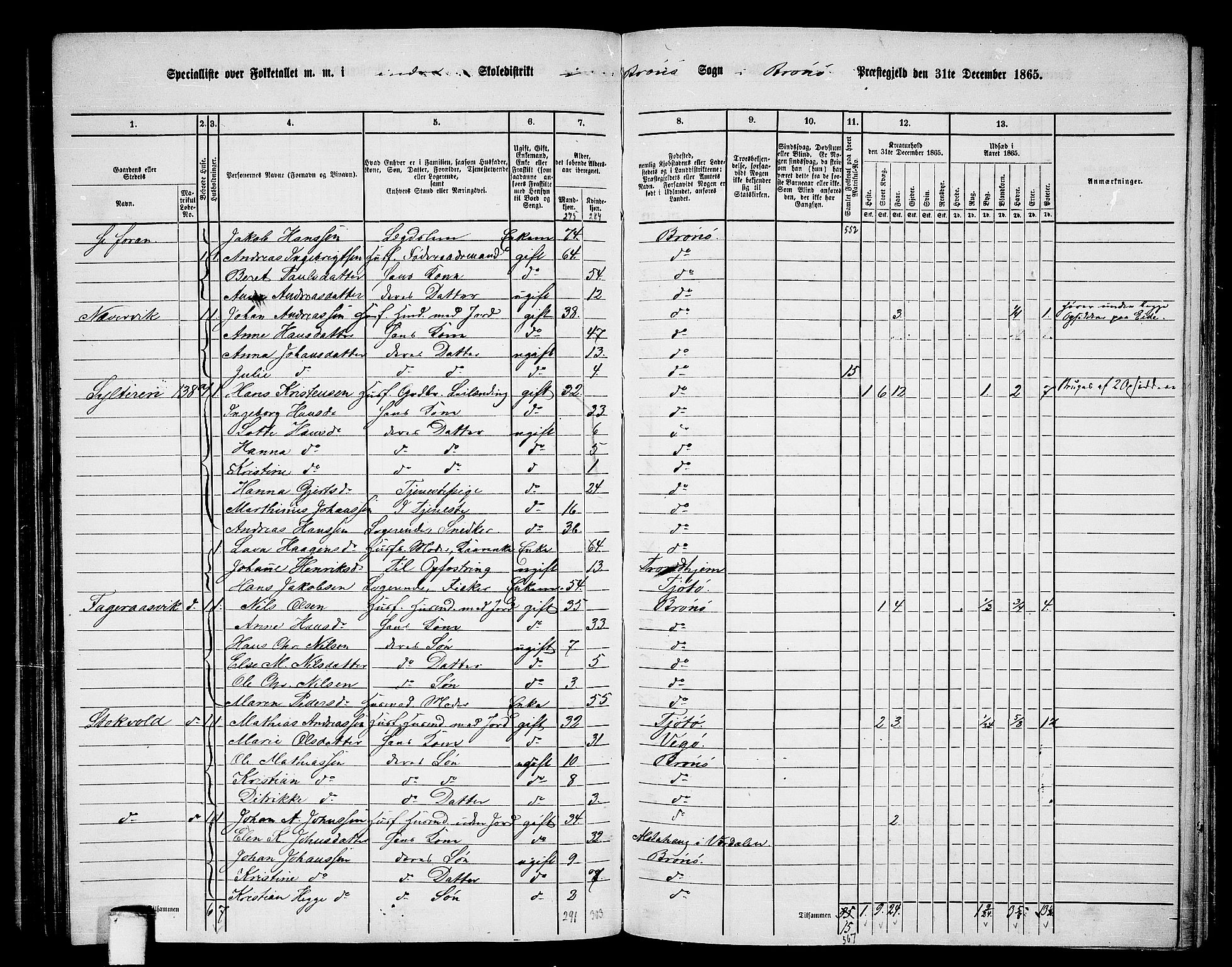 RA, 1865 census for Brønnøy, 1865, p. 117