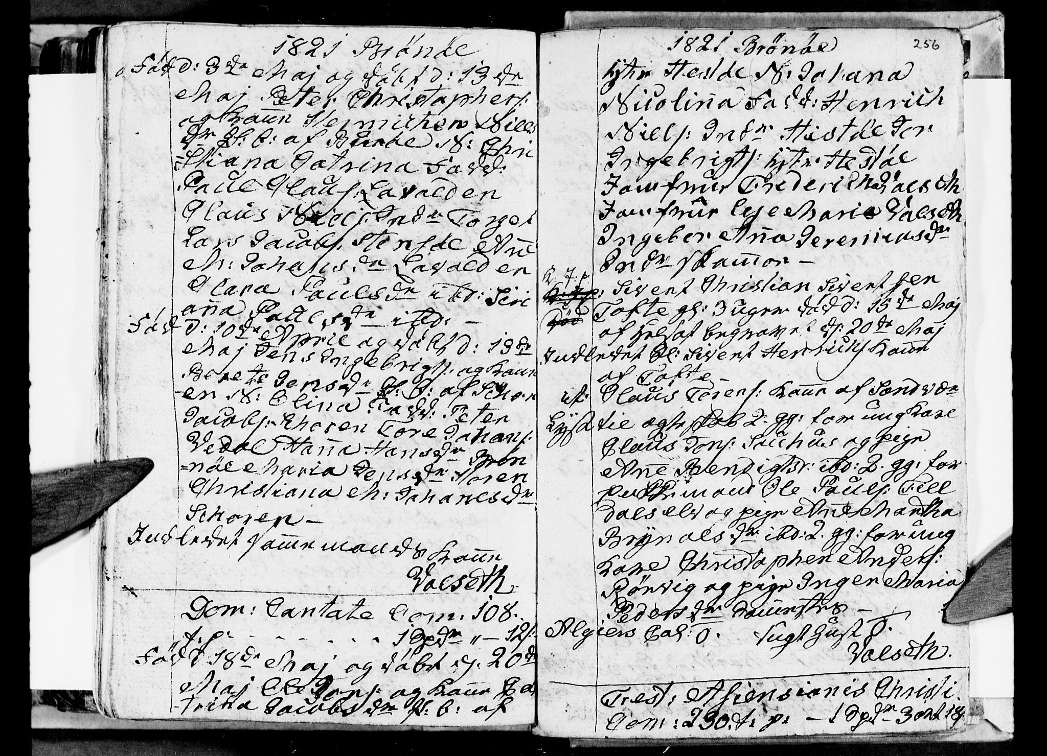 Ministerialprotokoller, klokkerbøker og fødselsregistre - Nordland, AV/SAT-A-1459/813/L0209: Parish register (copy) no. 813C01, 1803-1821, p. 256