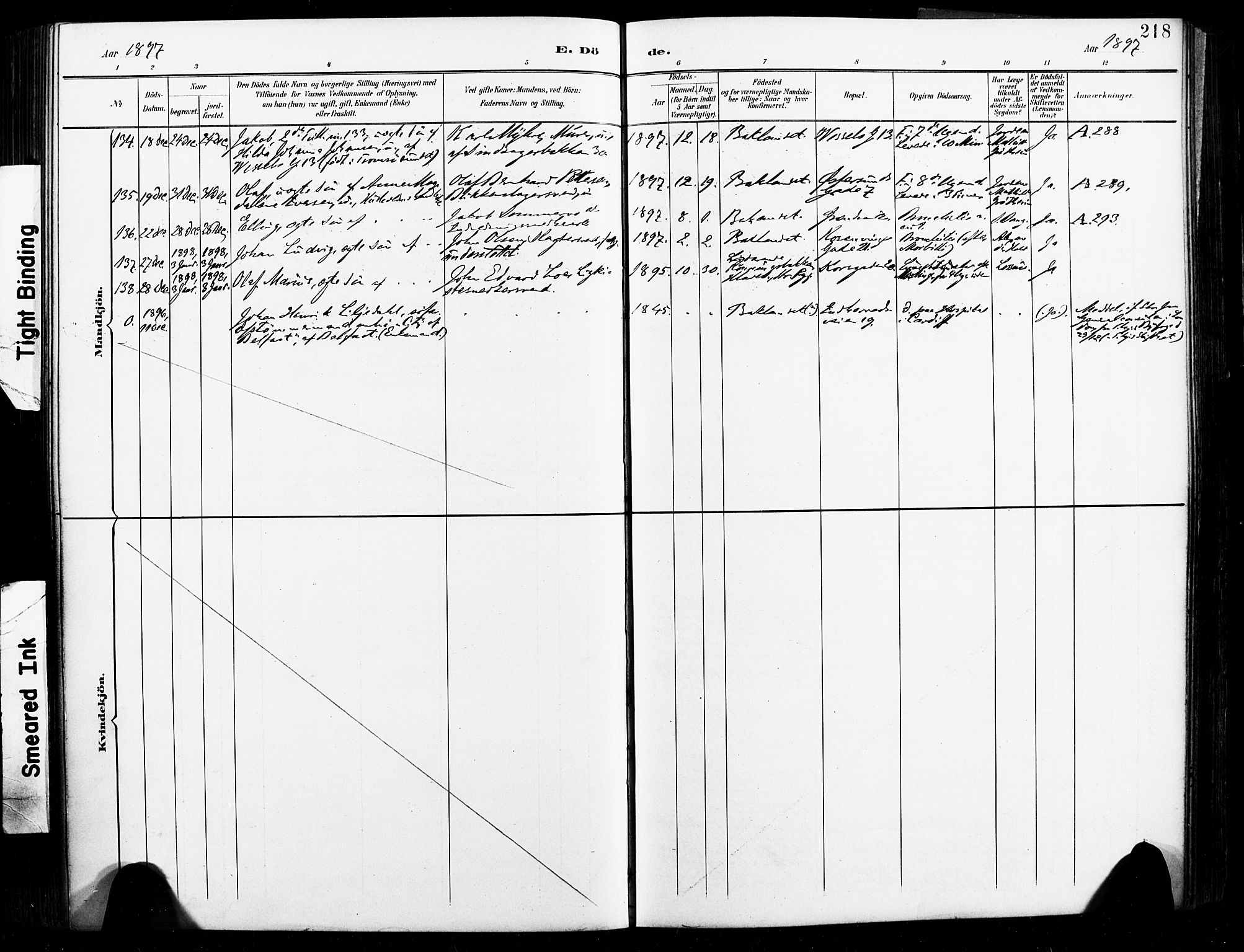 Ministerialprotokoller, klokkerbøker og fødselsregistre - Sør-Trøndelag, AV/SAT-A-1456/604/L0198: Parish register (official) no. 604A19, 1893-1900, p. 218