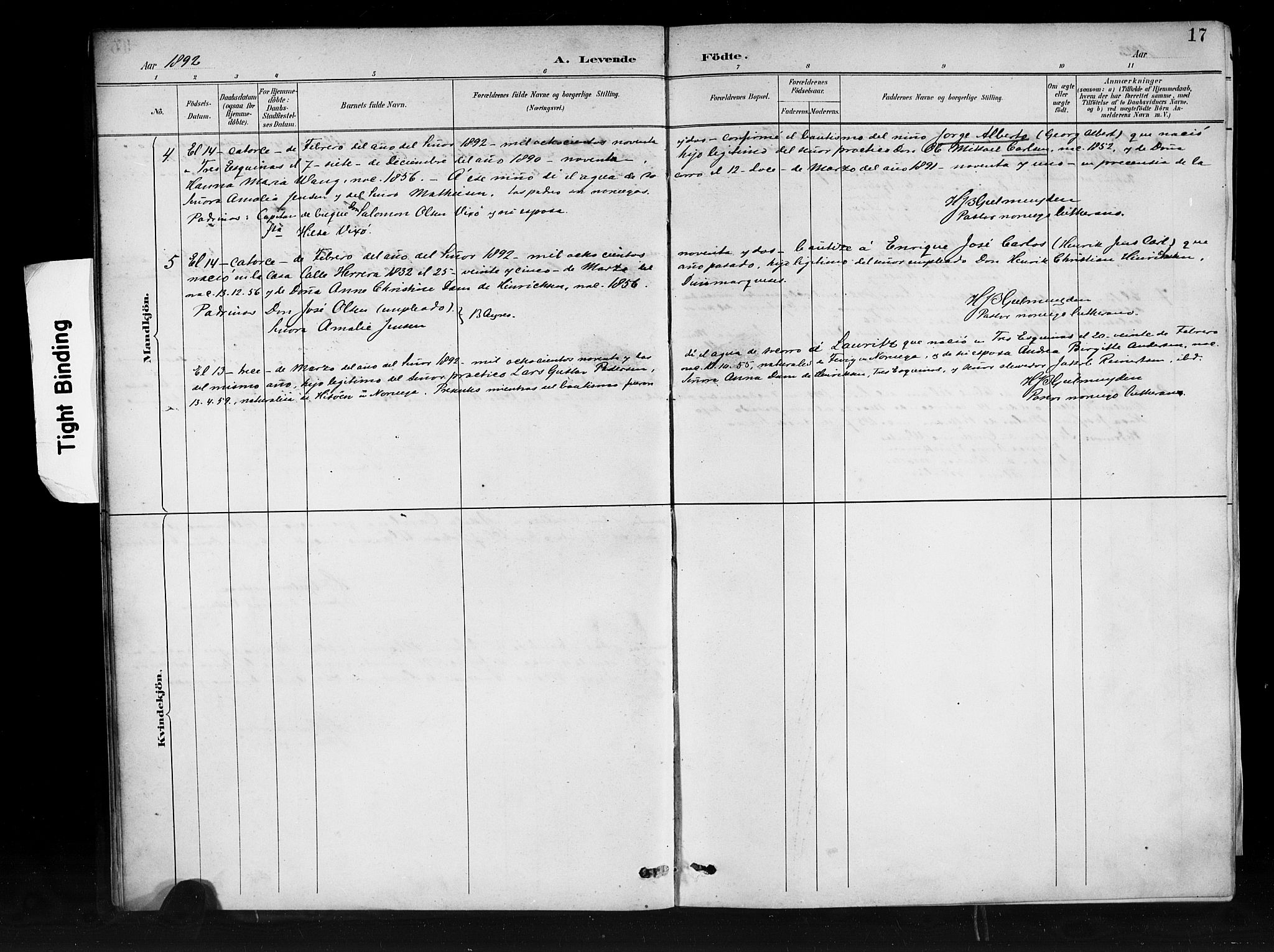 Den norske sjømannsmisjon i utlandet/Syd-Amerika (Buenos Aires m.fl.), SAB/SAB/PA-0118/H/Ha/L0001: Parish register (official) no. A 1, 1888-1898, p. 17