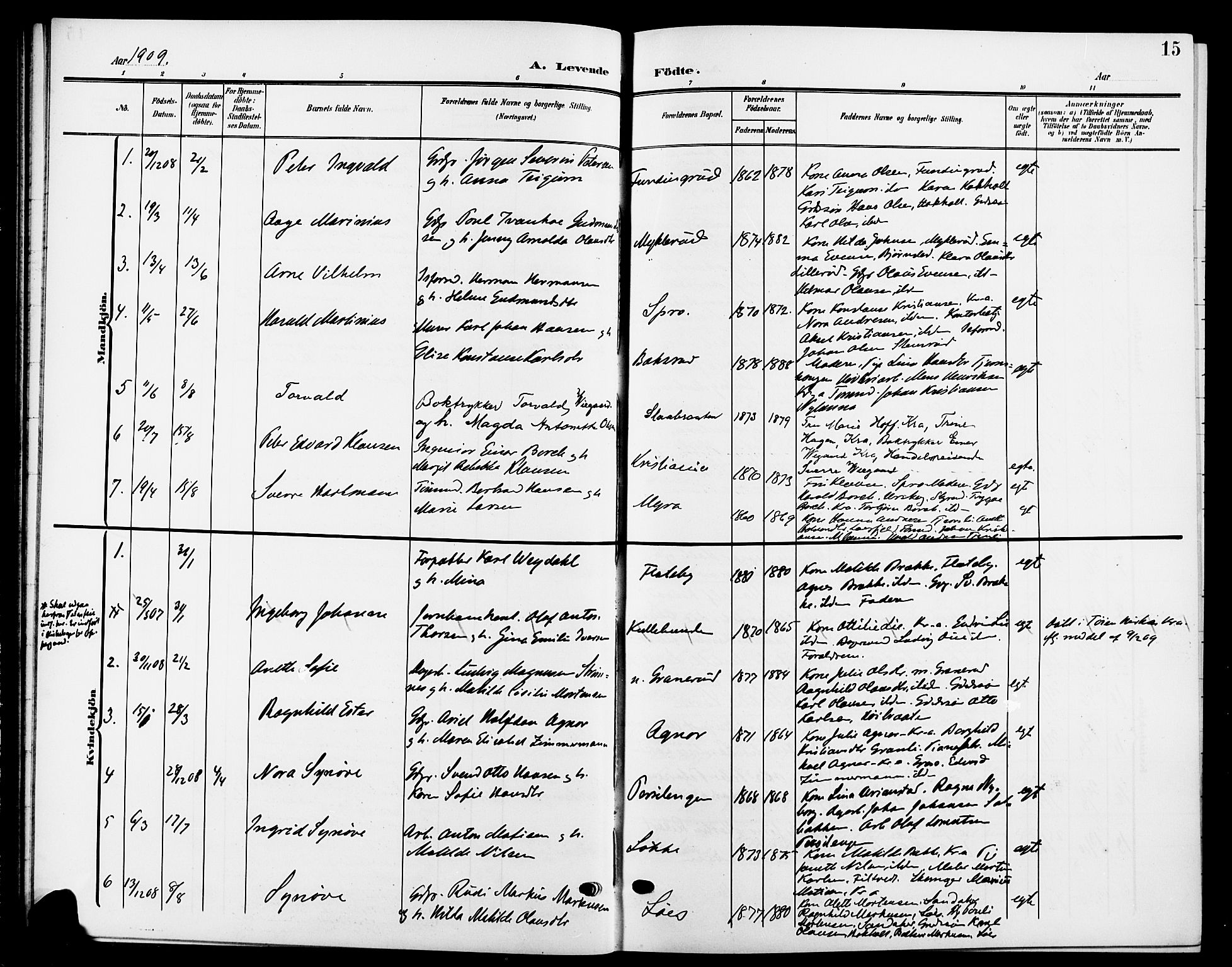 Nesodden prestekontor Kirkebøker, SAO/A-10013/G/Ga/L0002: Parish register (copy) no. I 2, 1905-1924, p. 15