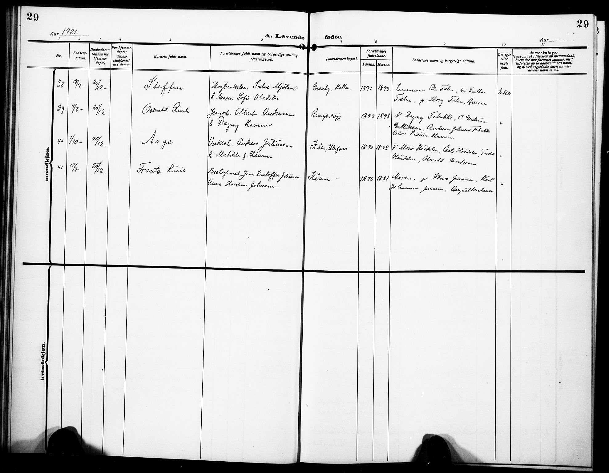 Holla kirkebøker, AV/SAKO-A-272/G/Ga/L0006: Parish register (copy) no. I 6, 1917-1928, p. 29